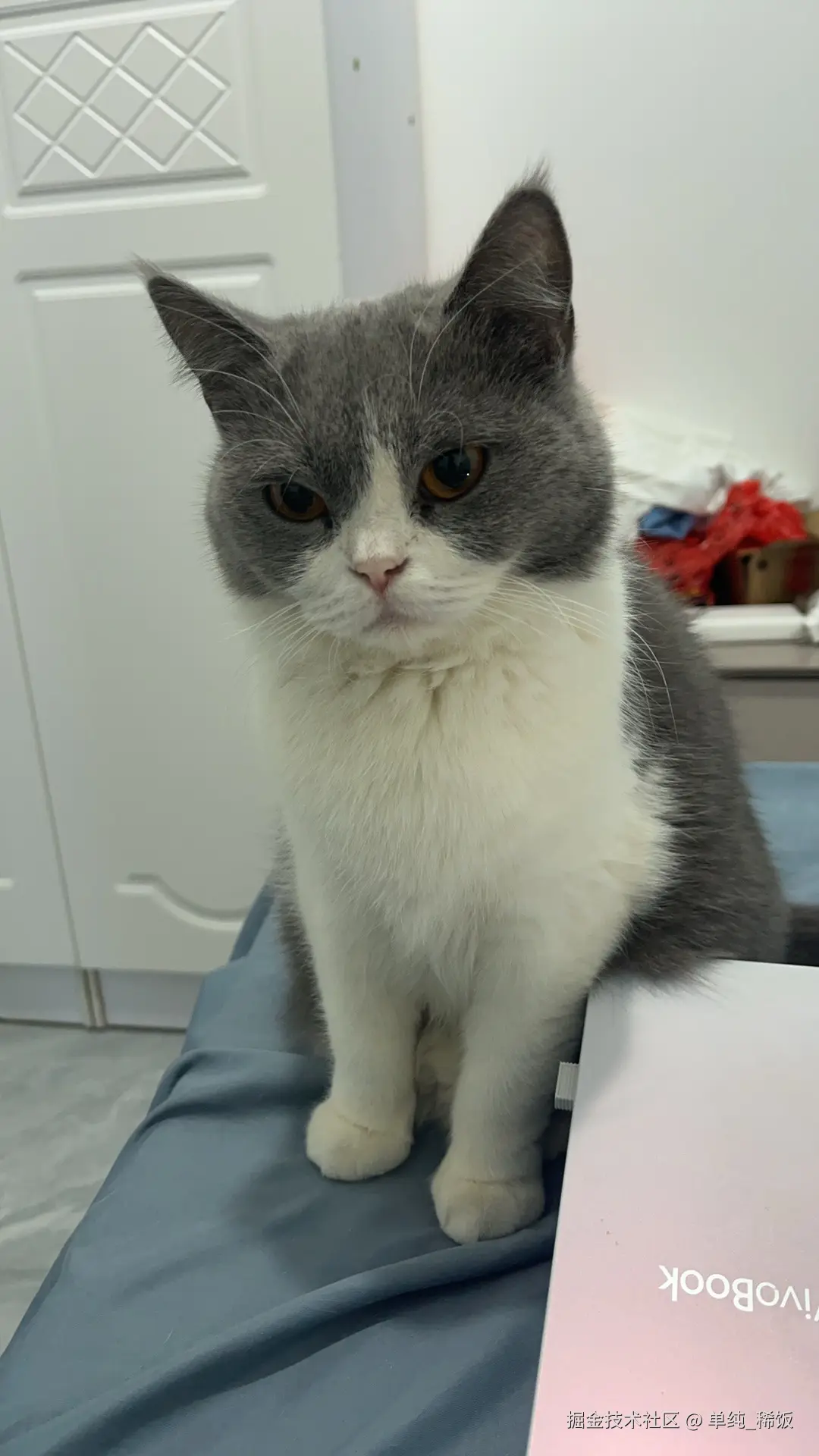 单纯_稀饭于2024-11-29 17:47发布的图片