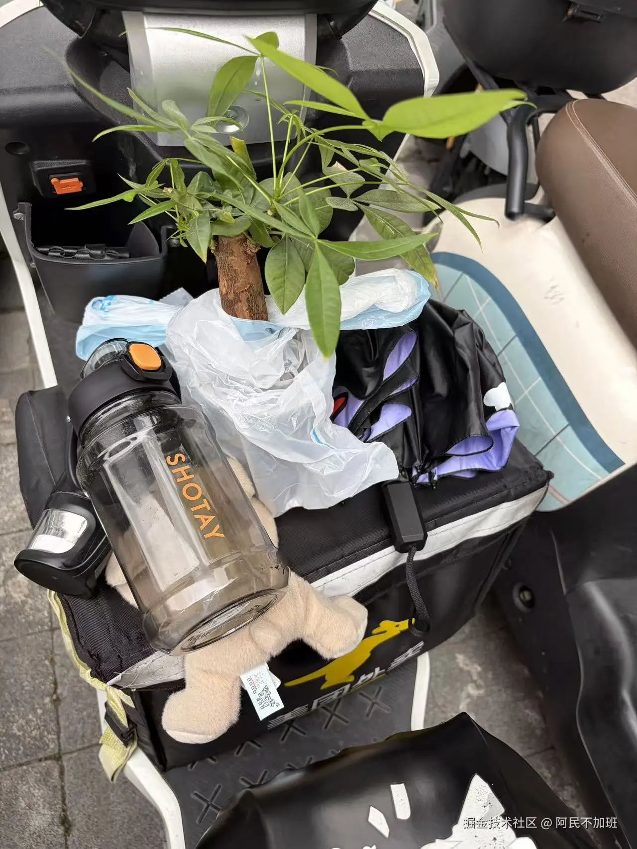 阿民不加班于2026-03-11 15:54发布的图片