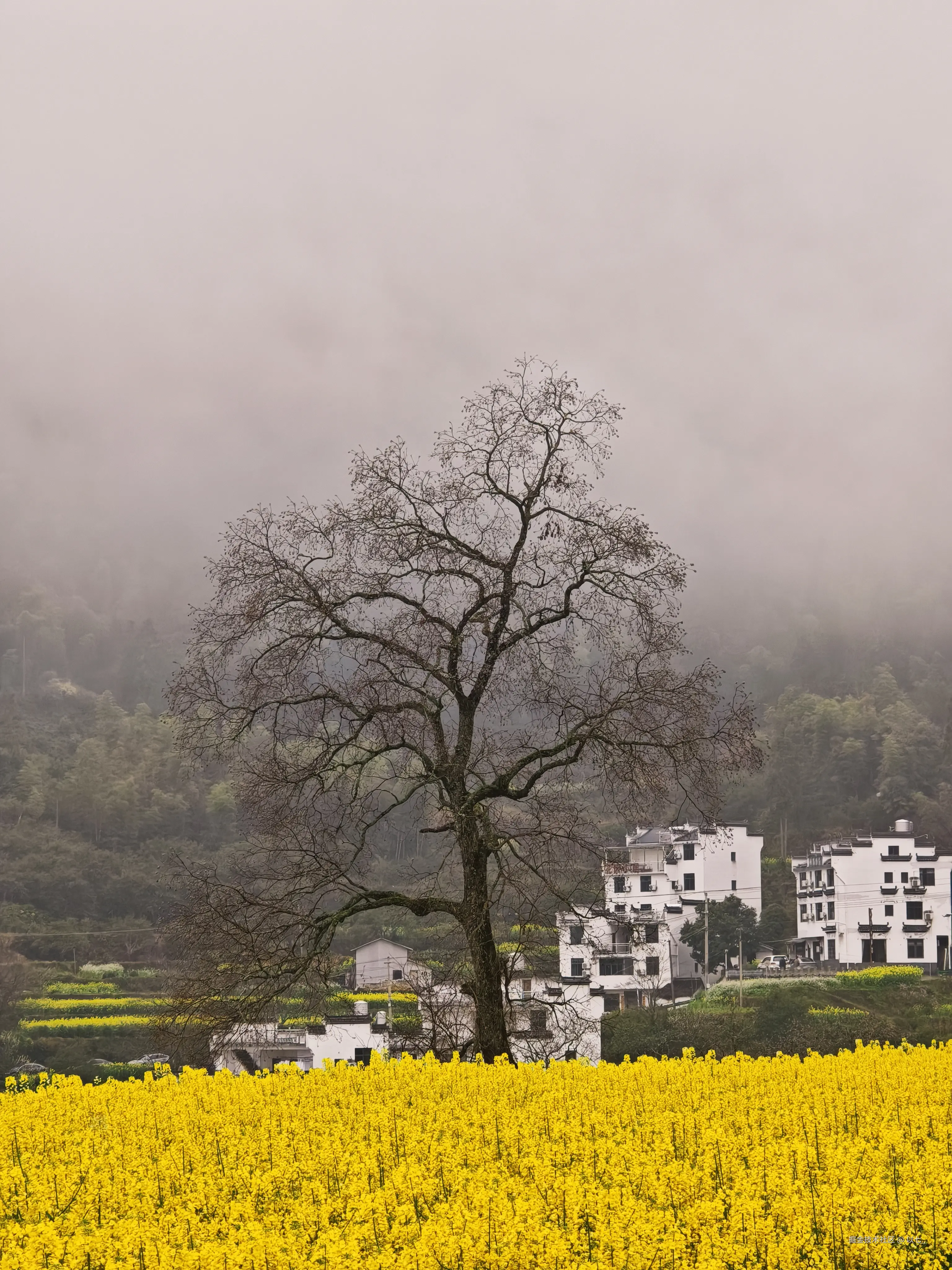 以七_于2026-03-24 11:30发布的图片