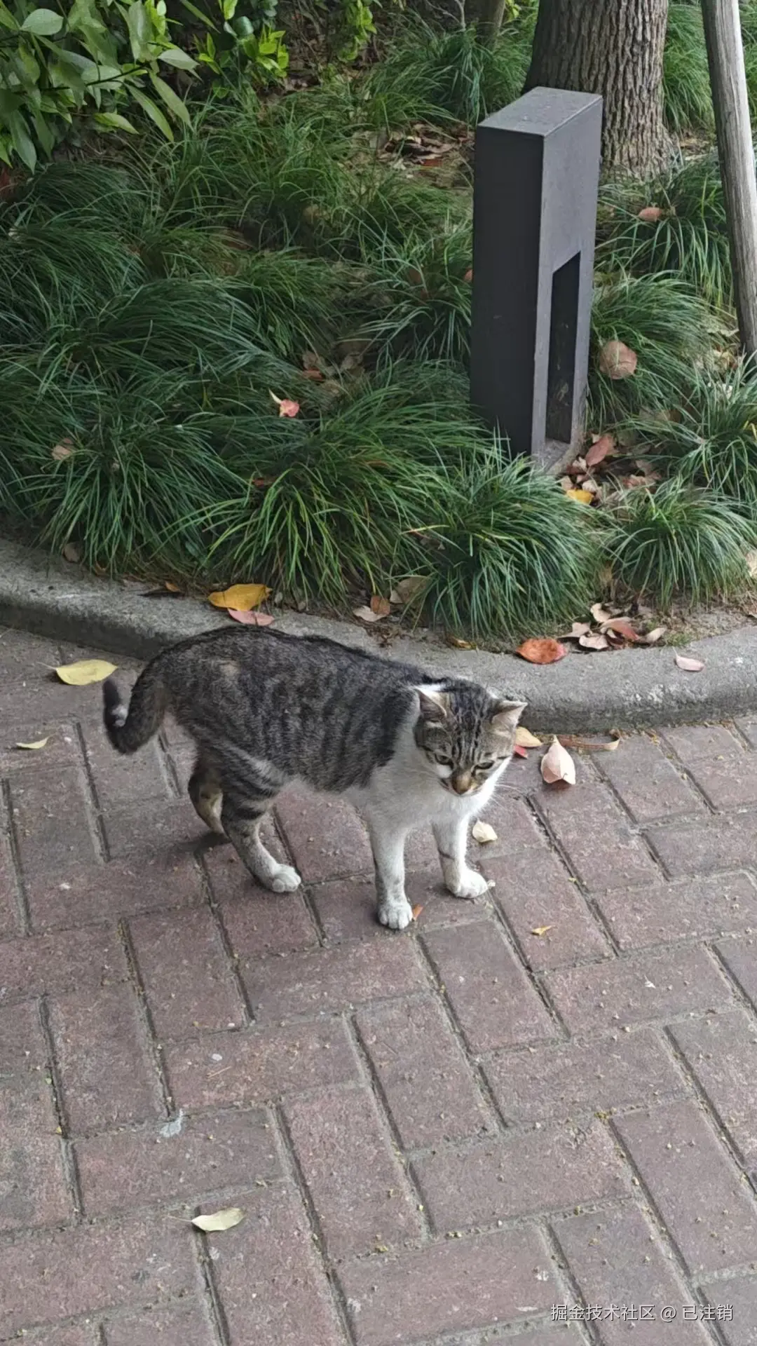 已注销于2025-04-27 09:43发布的图片