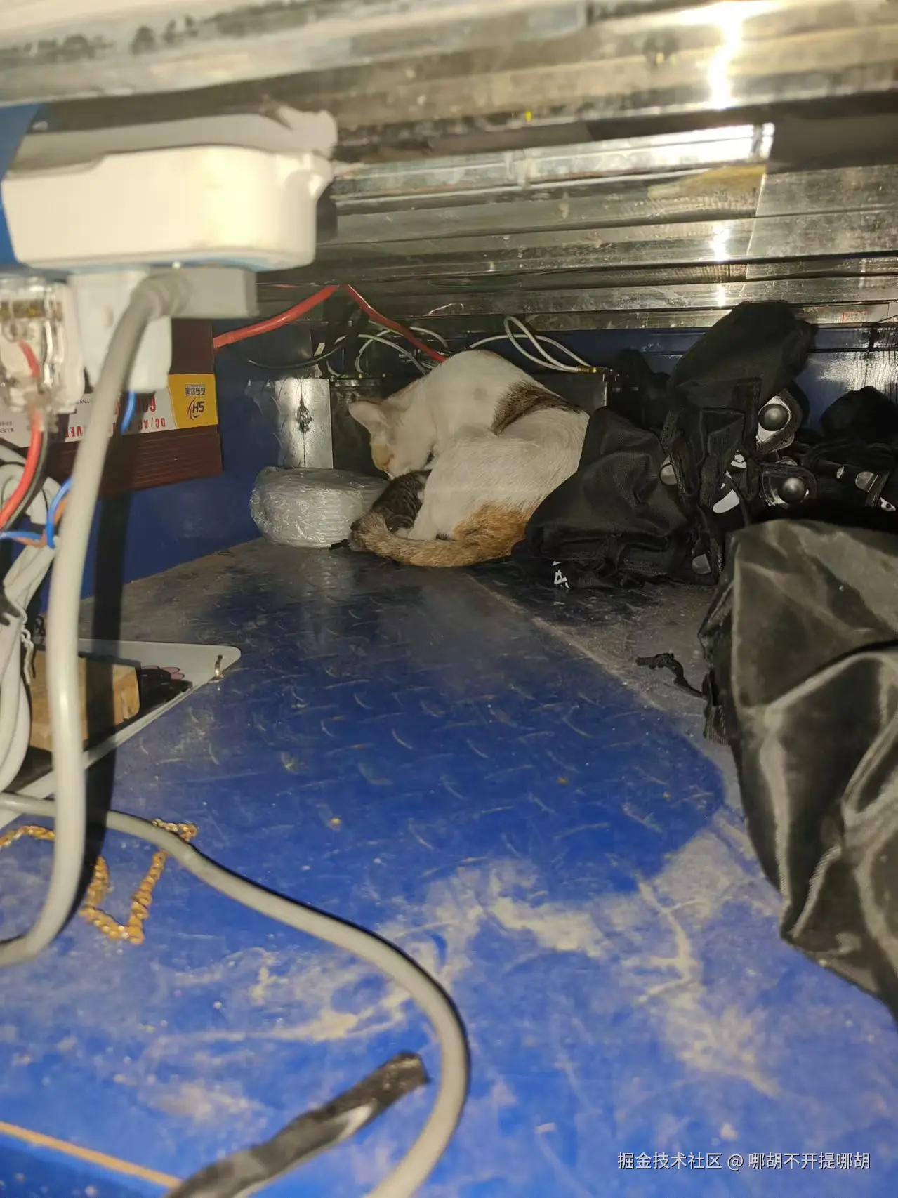 哪胡不开提哪胡于2024-11-01 09:07发布的图片