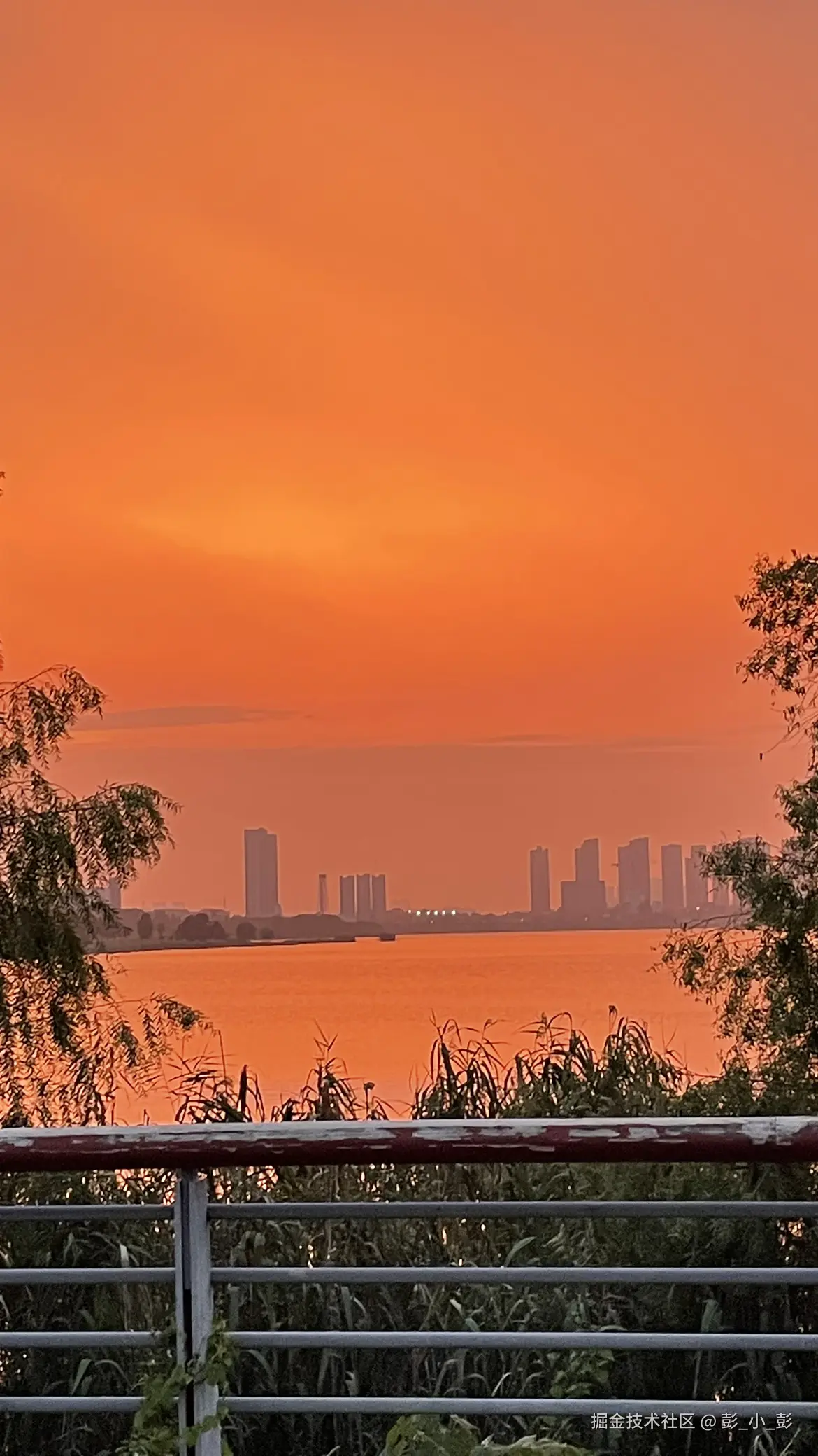 彭_小_彭于2025-10-09 16:28发布的图片