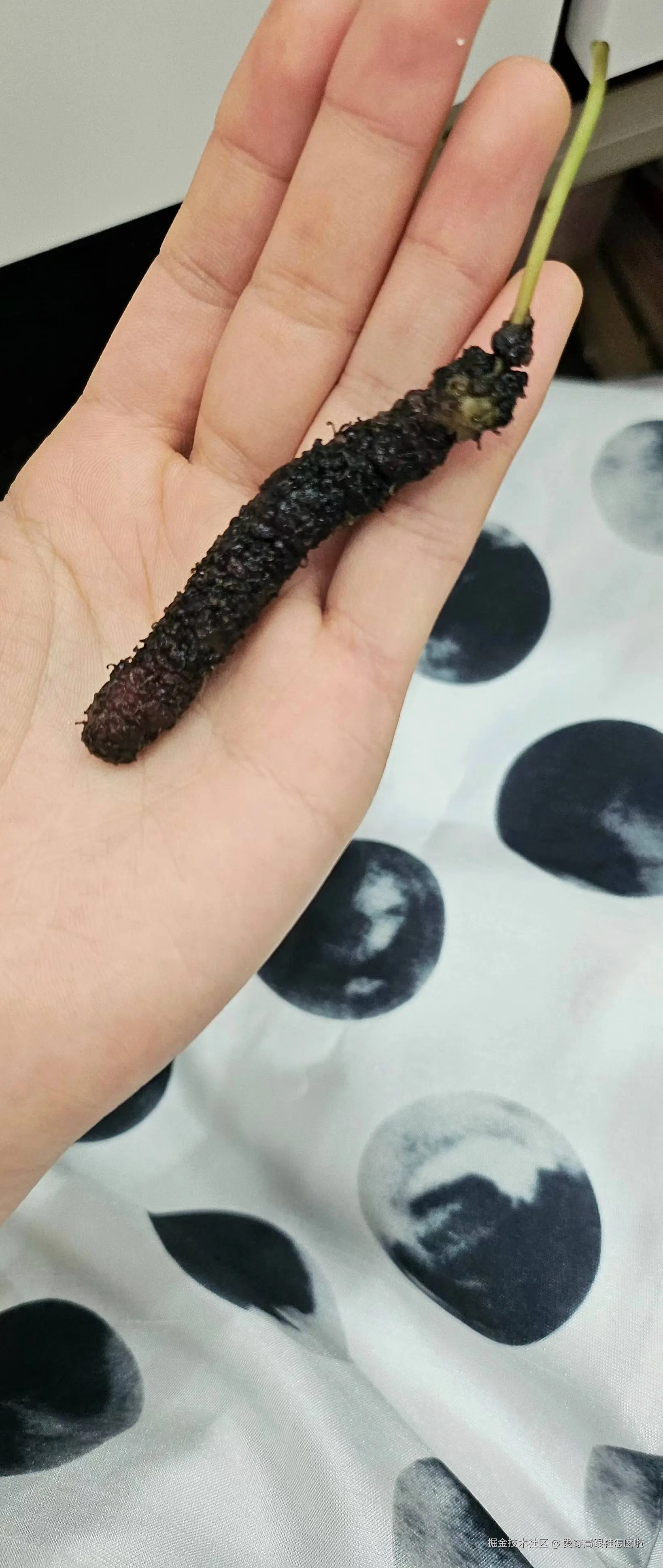 愛穿高跟鞋怎麼啦于2025-04-25 18:28发布的图片