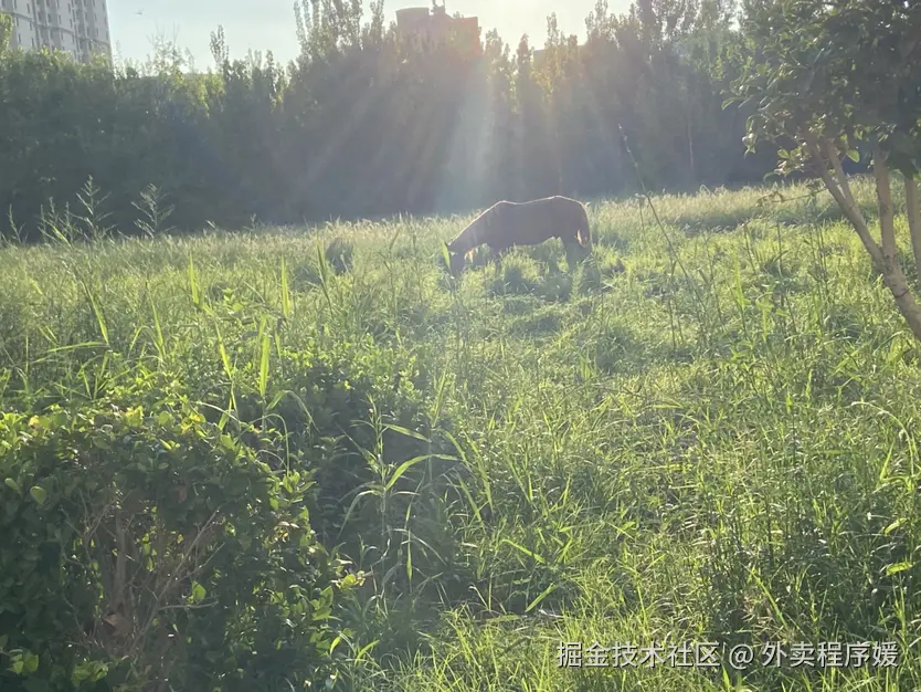 外卖程序媛于2025-11-03 23:09发布的图片