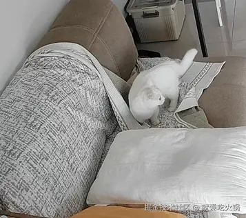 就爱吃火锅于2025-10-09 03:10发布的图片