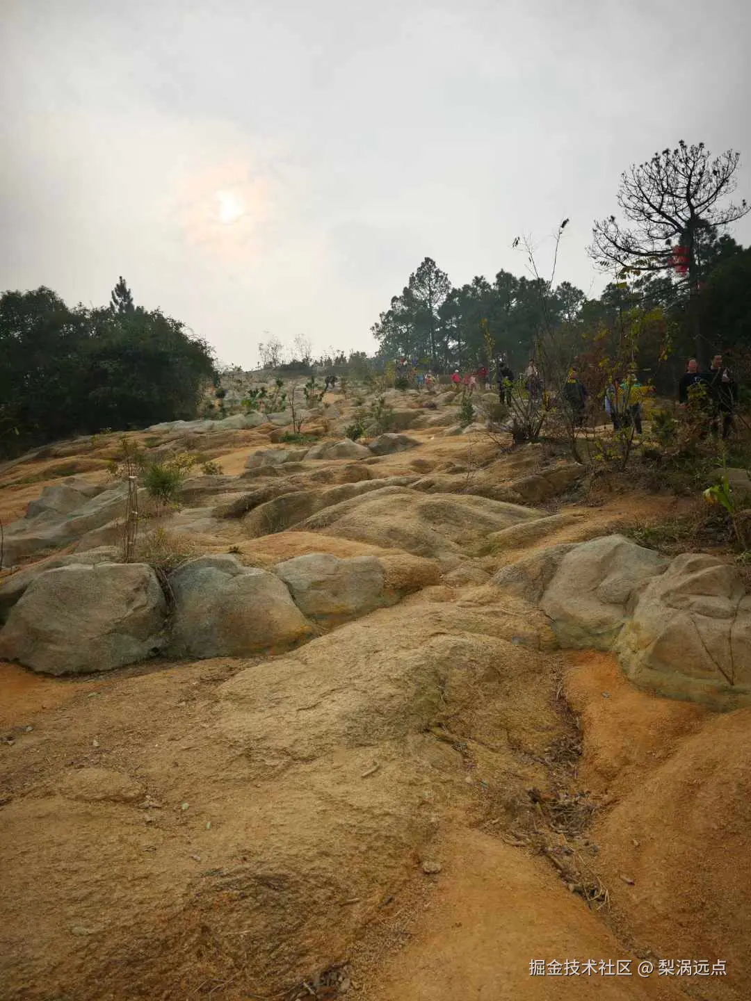 梨涡远点于2024-12-09 15:45发布的图片