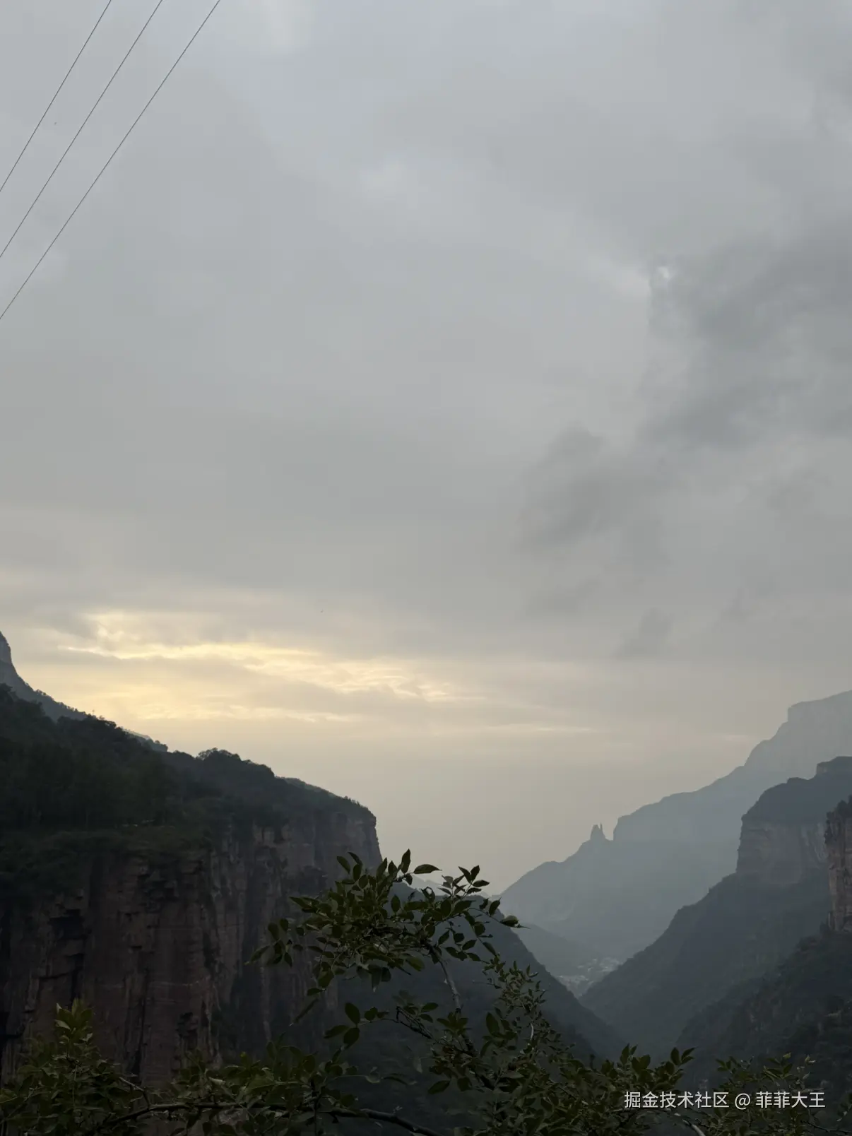 菲菲大王于2025-10-09 11:40发布的图片