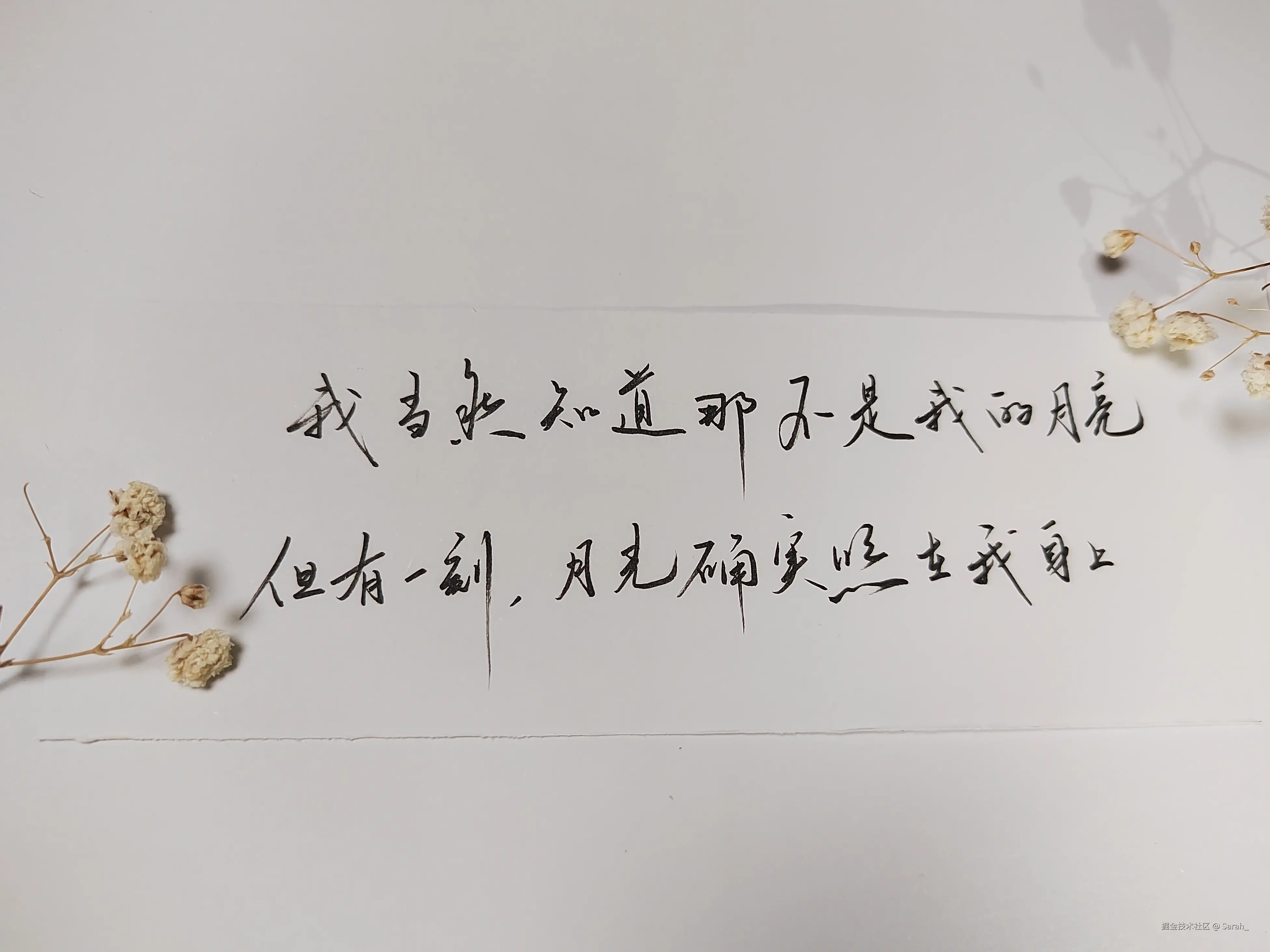 Sarah_于2024-10-30 05:56发布的图片