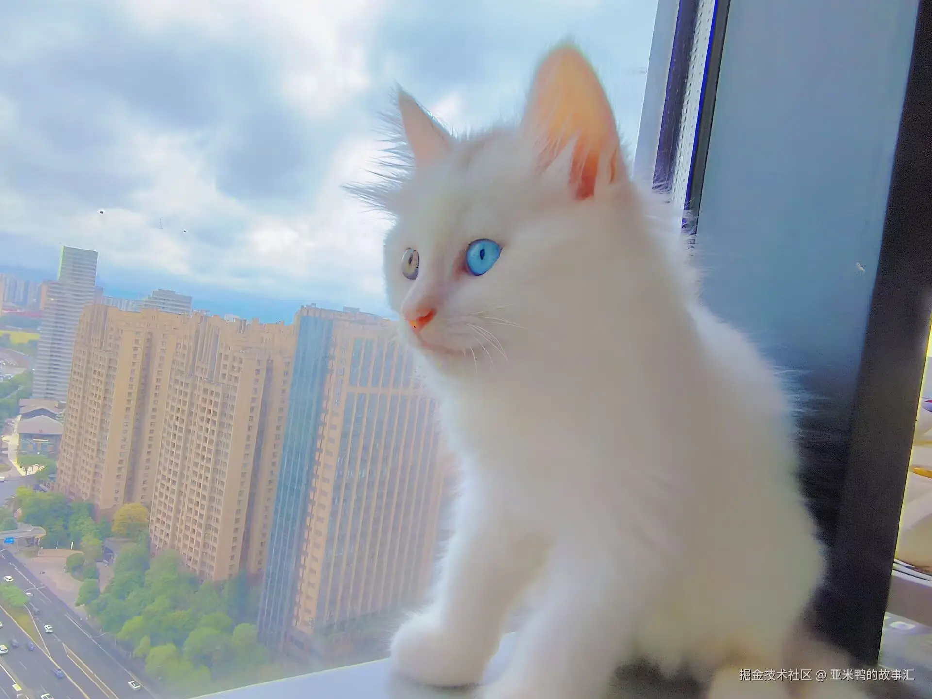 亚米鸭的故事汇于2025-06-19 03:05发布的图片