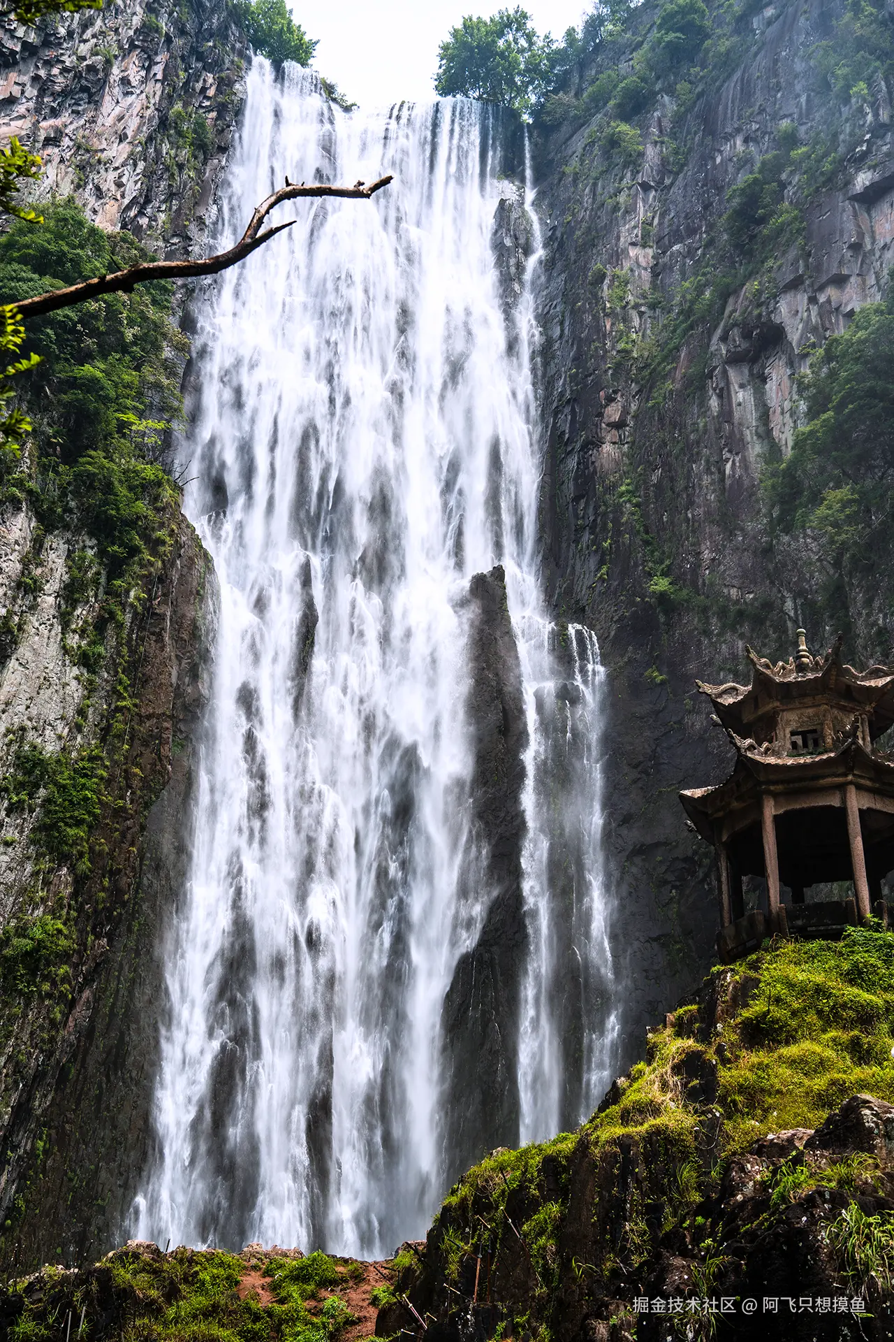 阿飞只想摸鱼于2025-07-16 10:45发布的图片