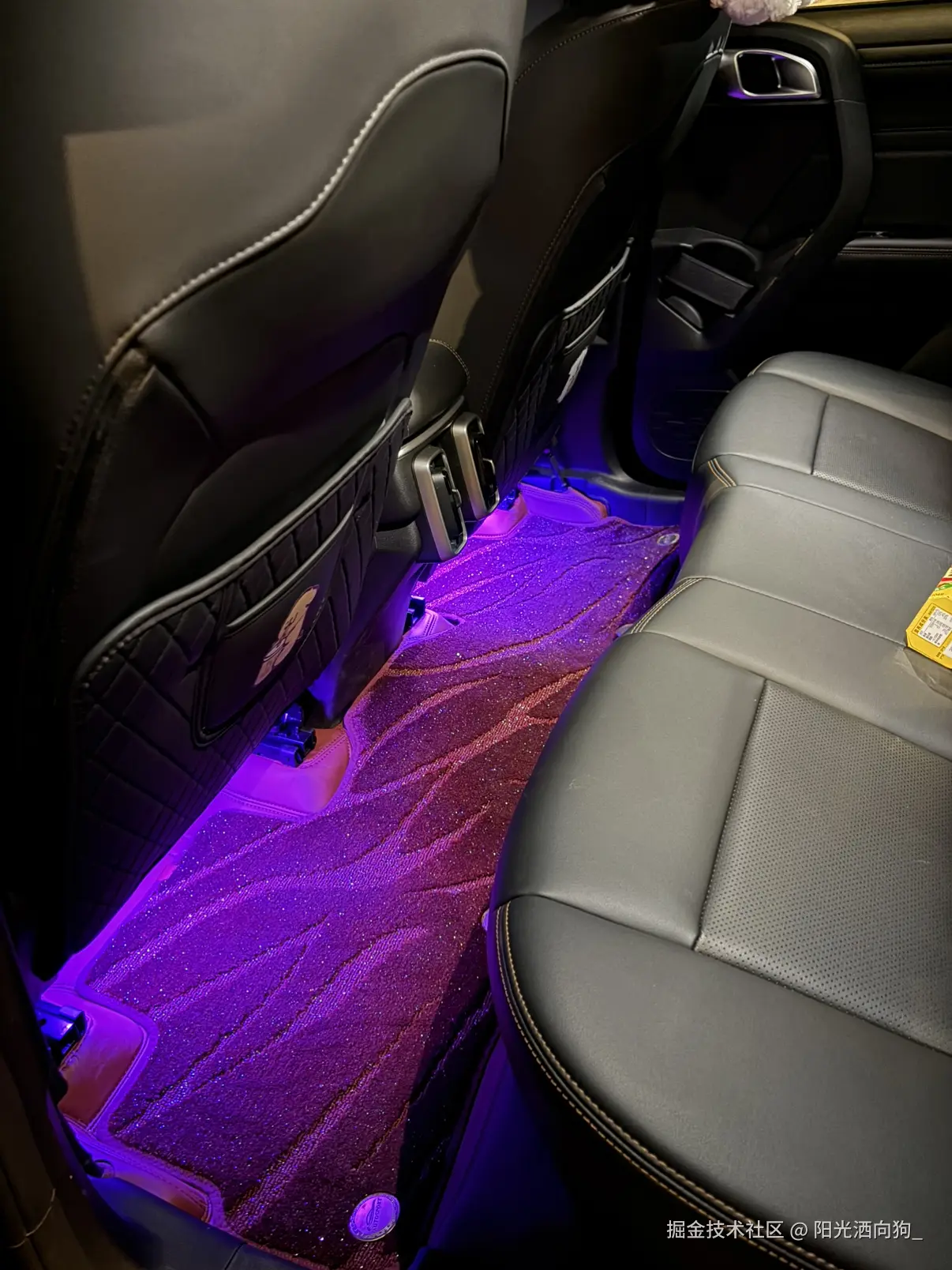 阳光洒向狗_于2026-02-02 16:18发布的图片