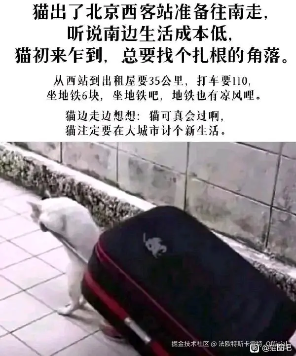 法欧特斯卡雷特_Official于2025-07-11 10:46发布的图片