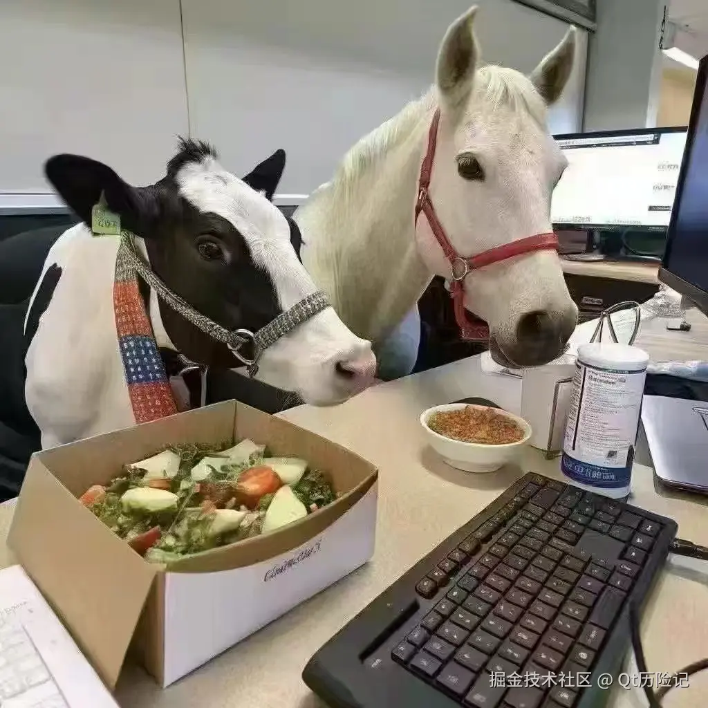 Qt历险记于2025-07-07 08:45发布的图片