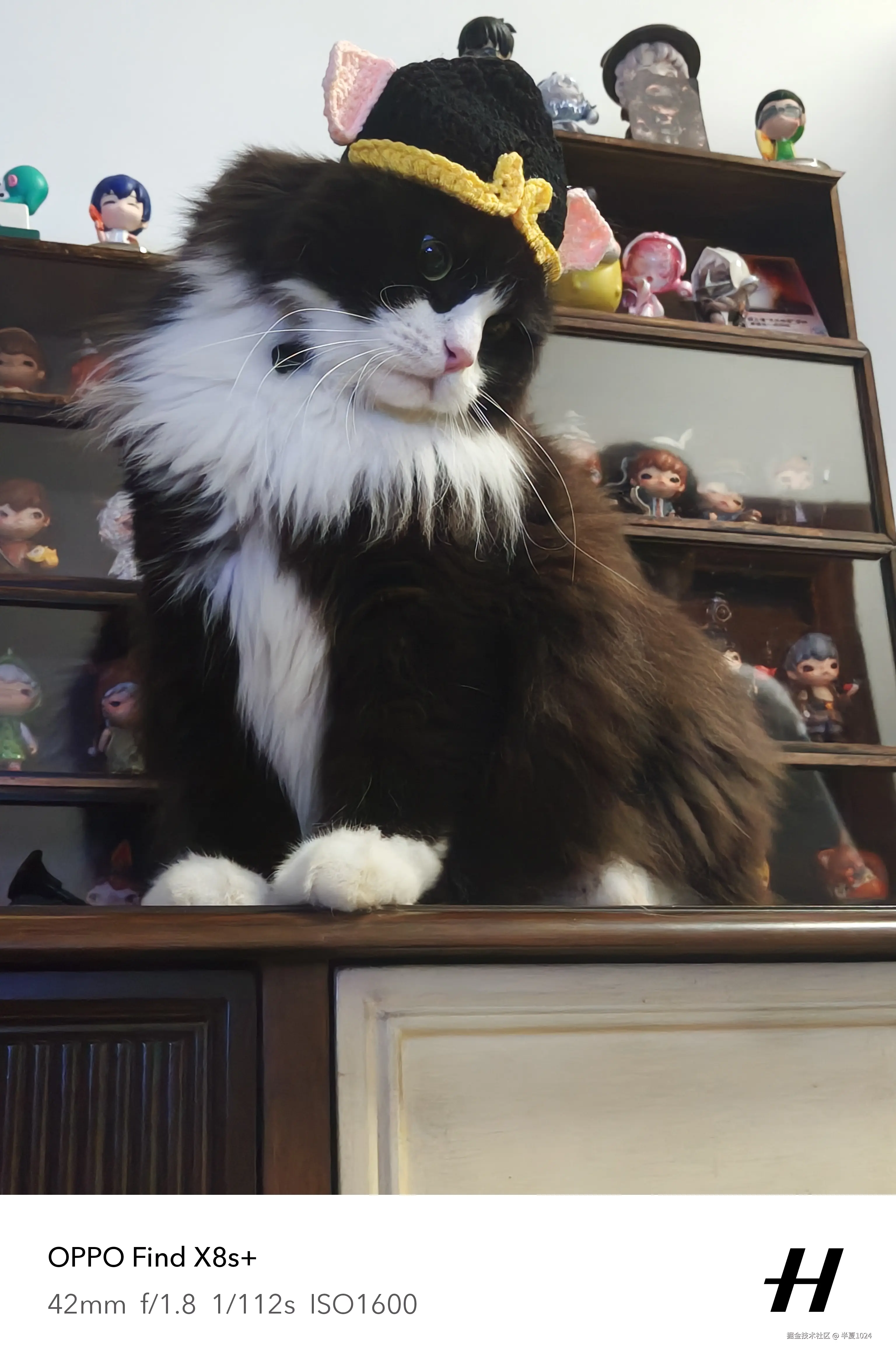 半夏1024于2025-06-25 03:23发布的图片