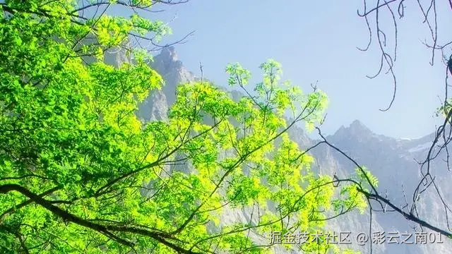 彩云之南01于2025-05-13 15:53发布的图片