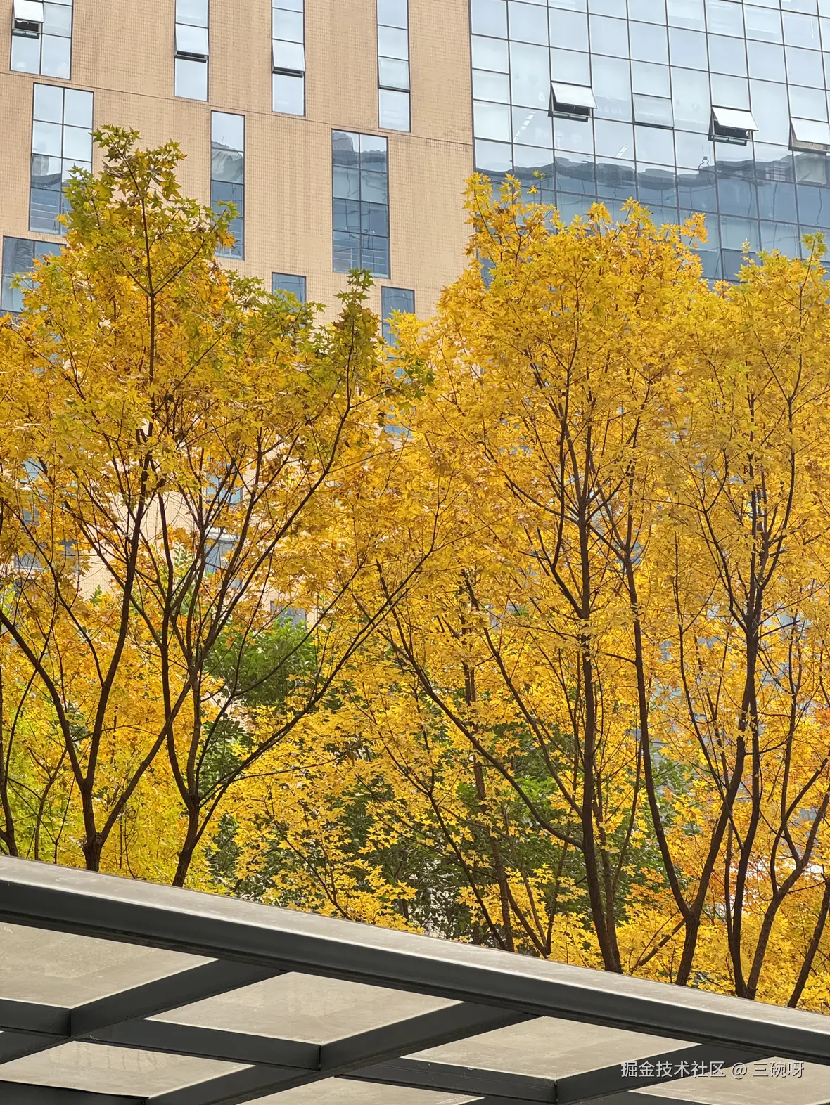 三碗呀于2024-12-05 15:39发布的图片