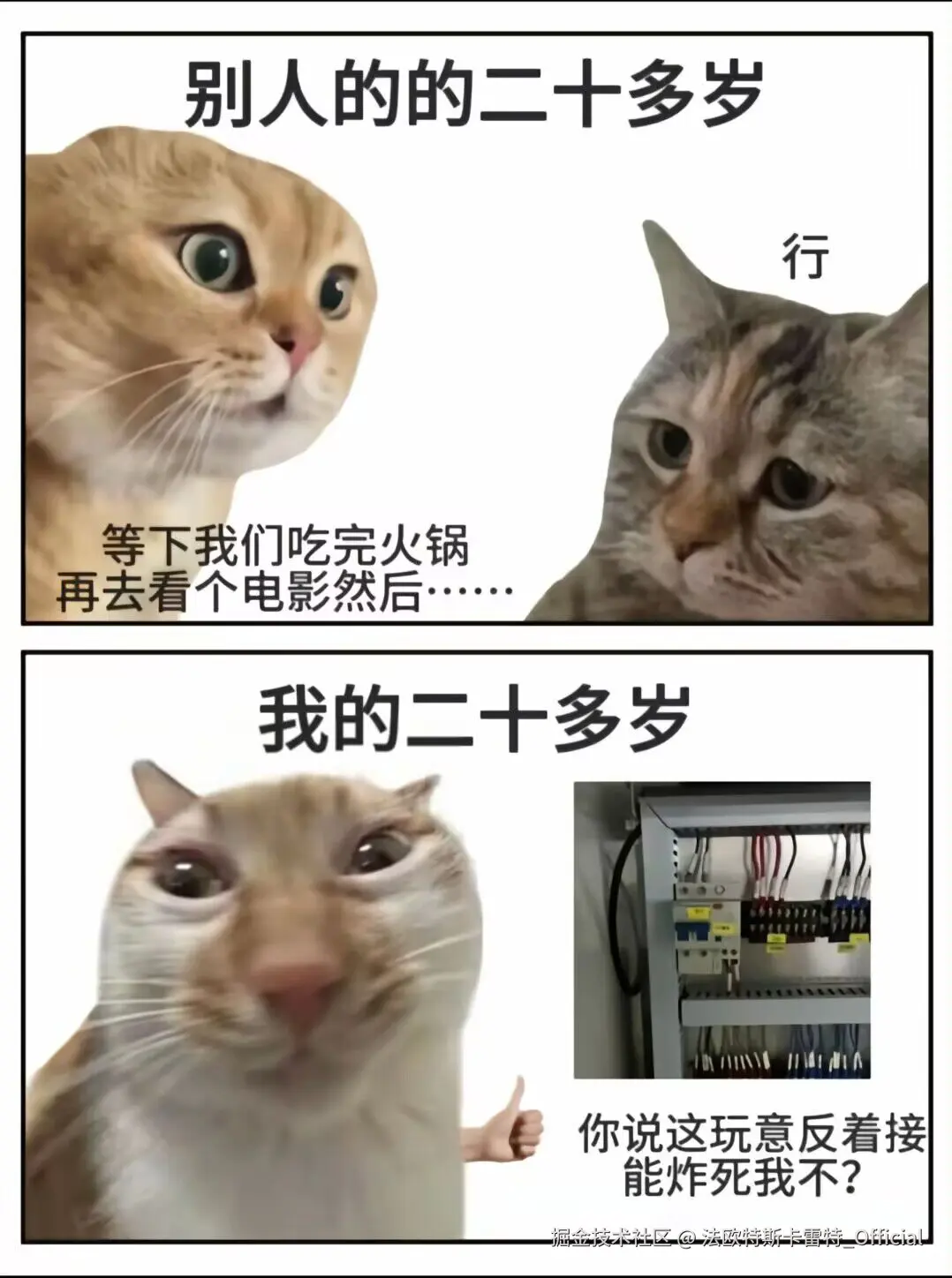 法欧特斯卡雷特_Official于2025-11-15 19:18发布的图片