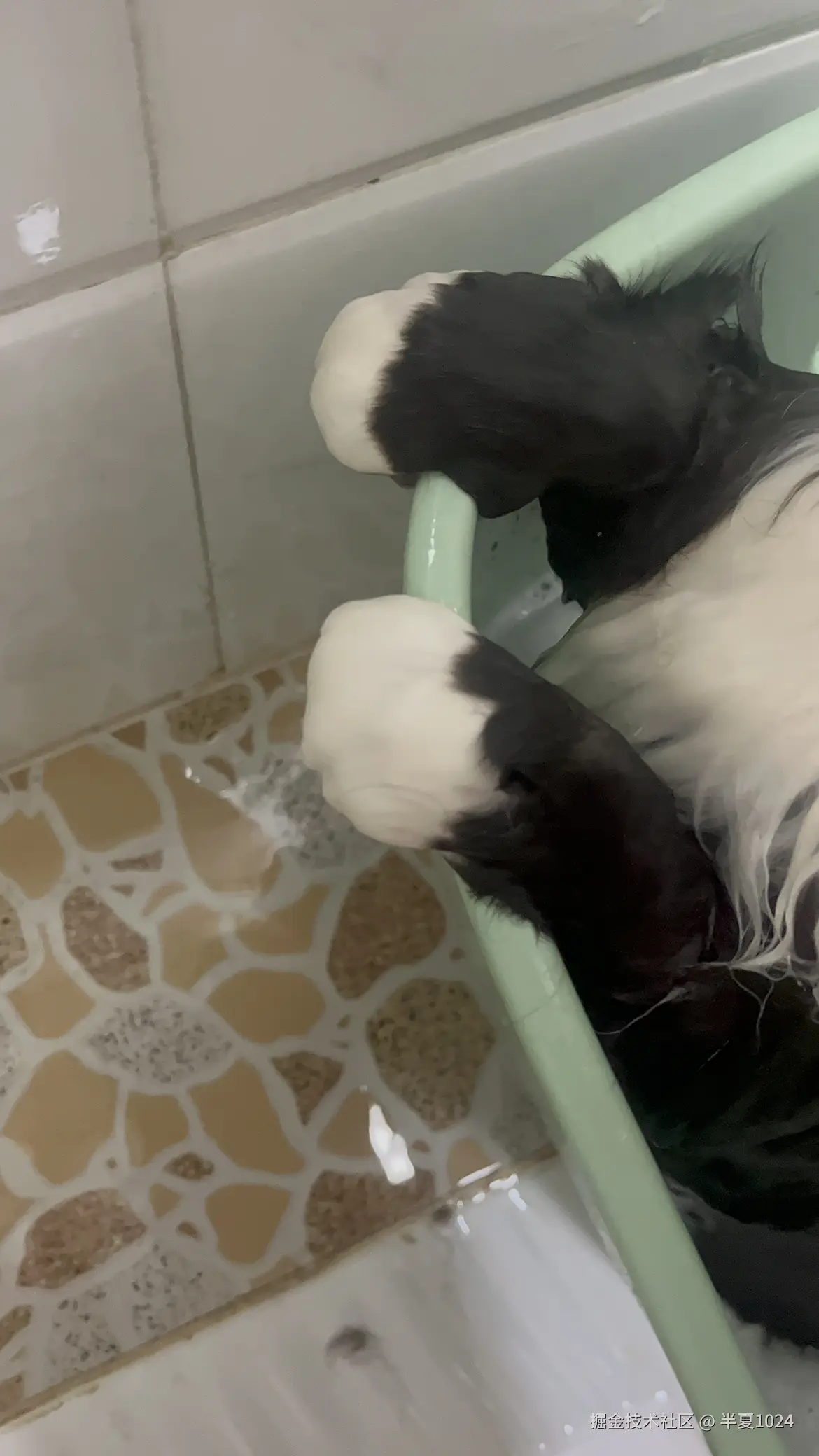 半夏1024于2025-01-22 14:35发布的图片