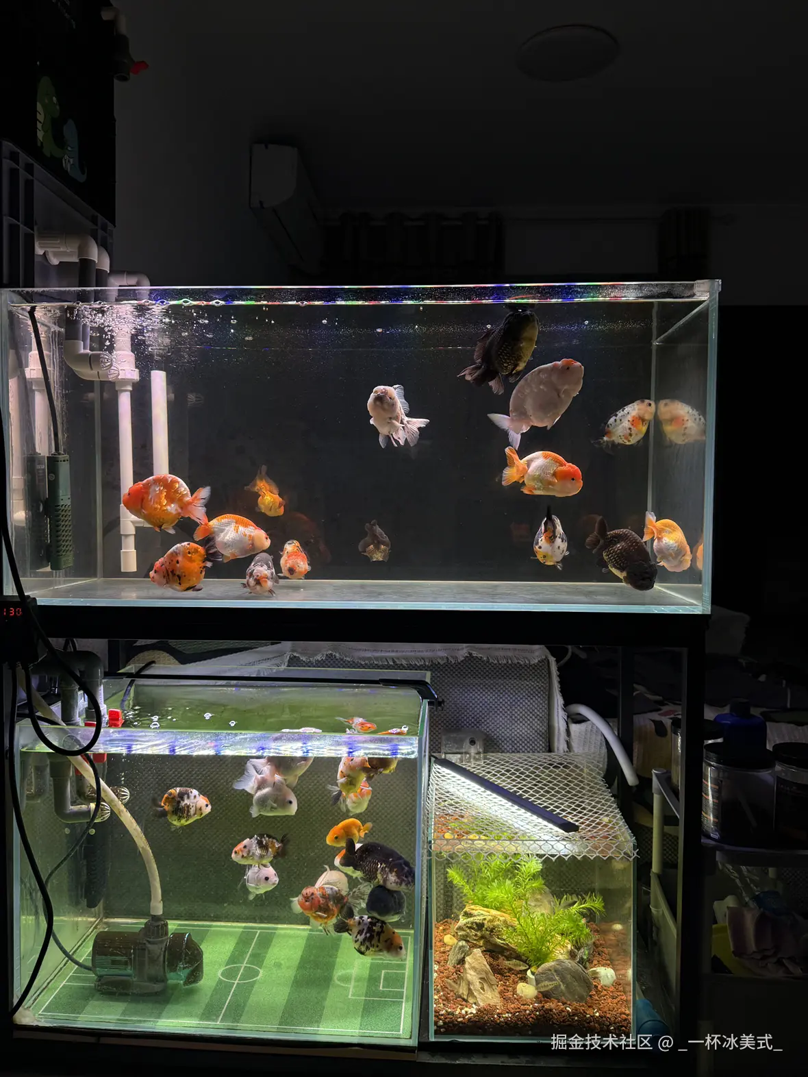 _一杯冰美式_于2024-12-03 10:40发布的图片