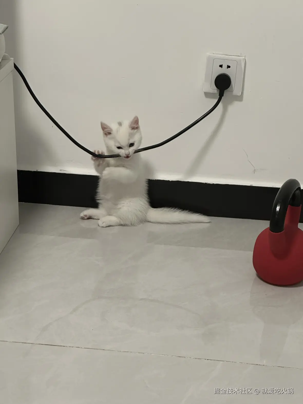 就爱吃火锅于2025-03-06 09:35发布的图片