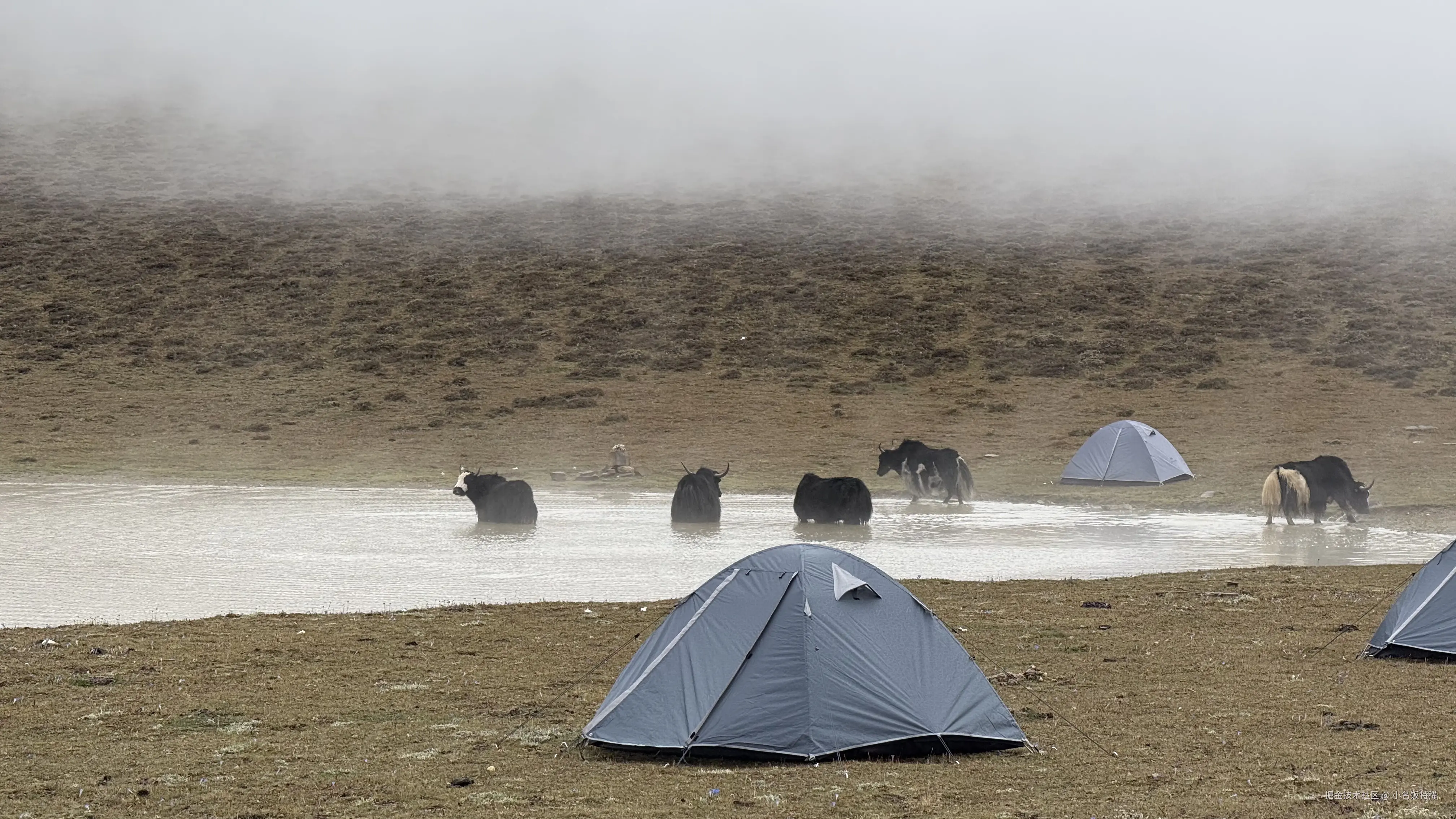 小名饭特稀于2025-10-09 11:32发布的图片