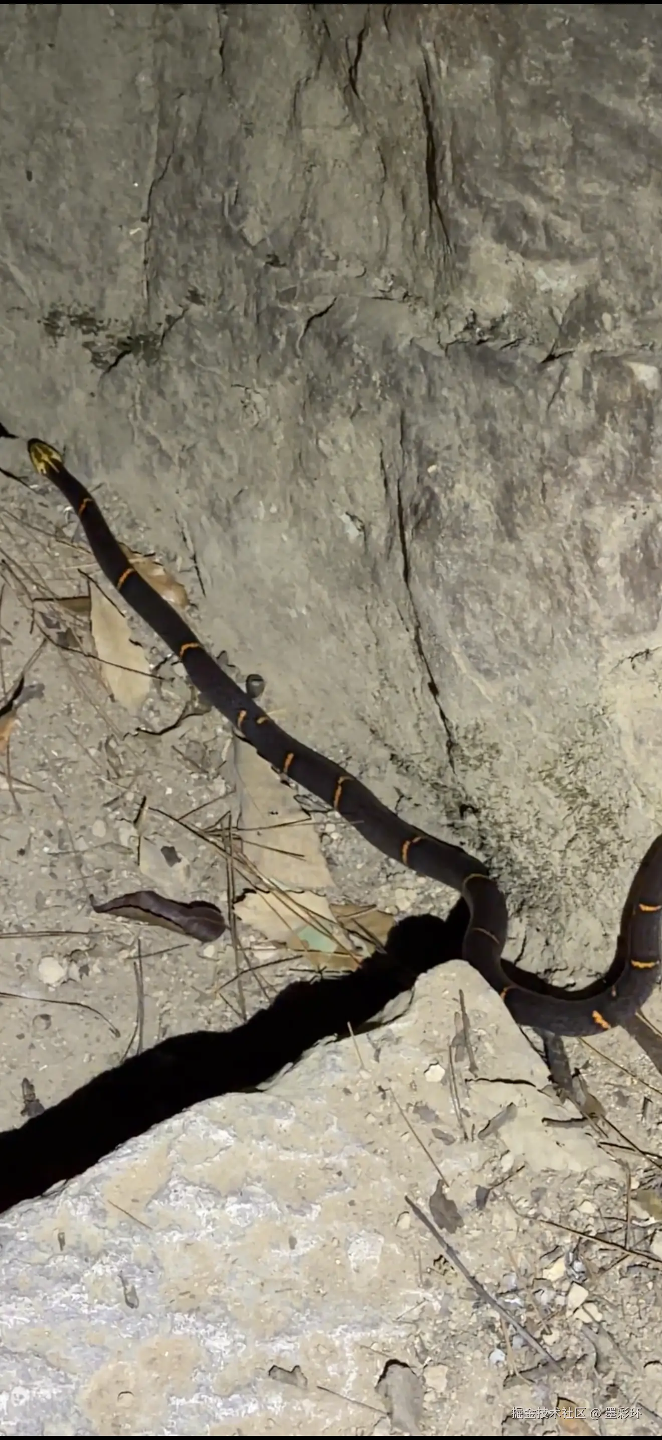 墨彩环于2025-12-03 08:37发布的图片