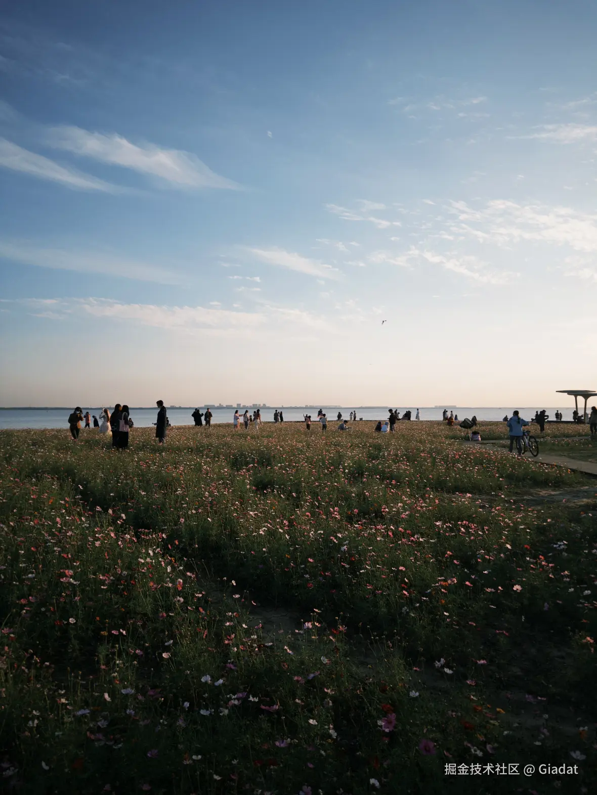 Giadat于2024-11-28 10:33发布的图片