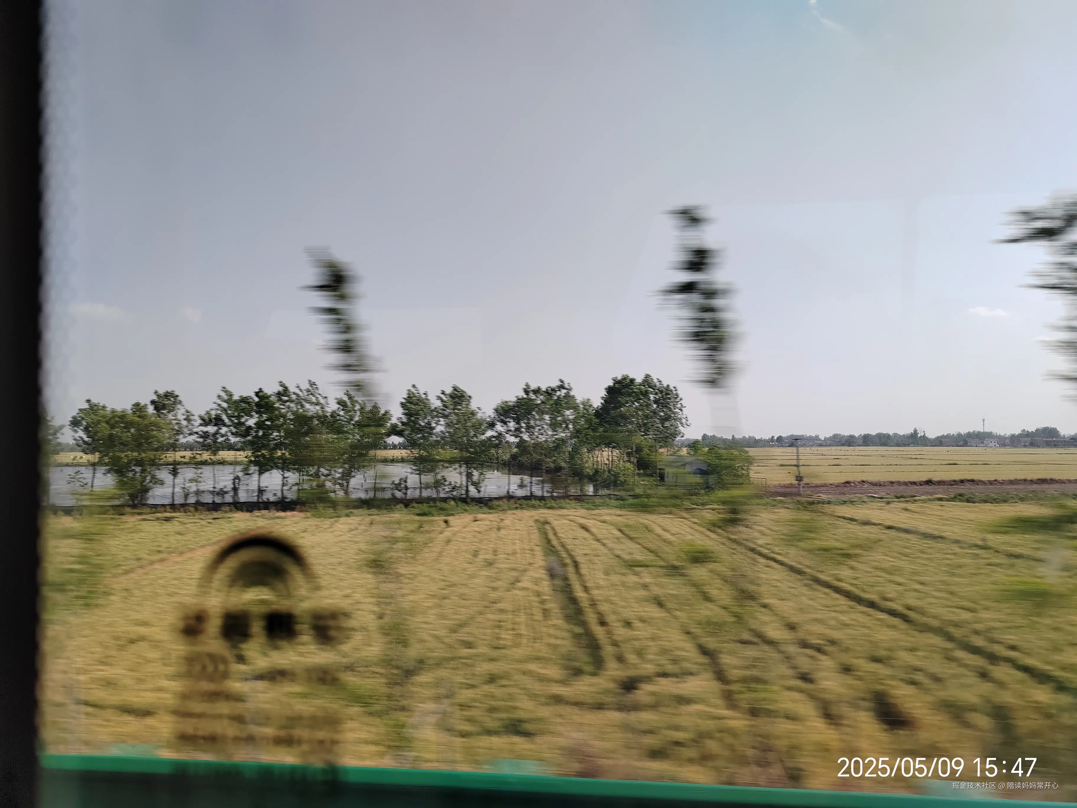 陪读妈妈常开心于2025-05-09 18:06发布的图片