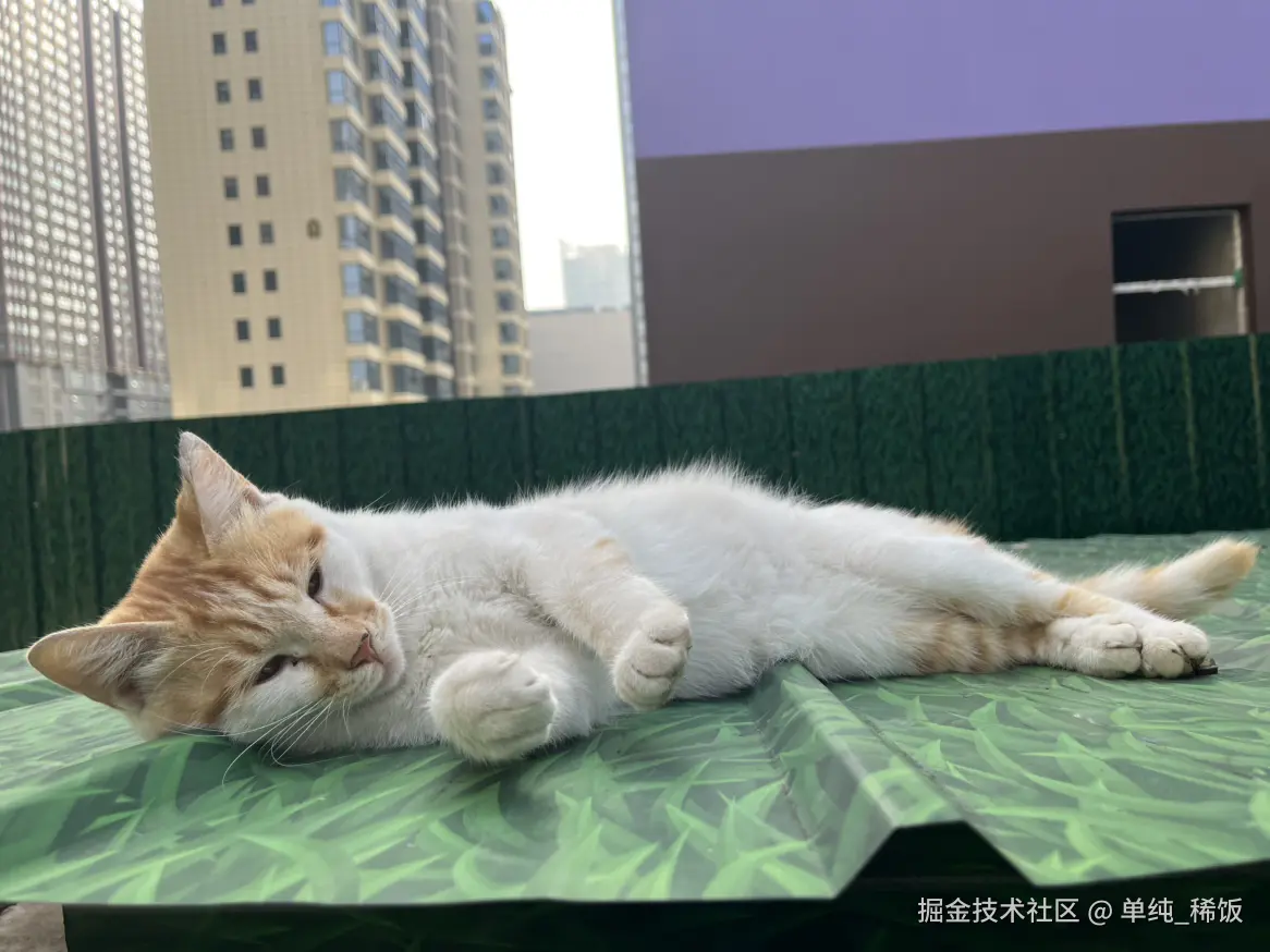 单纯_稀饭于2025-09-24 09:12发布的图片