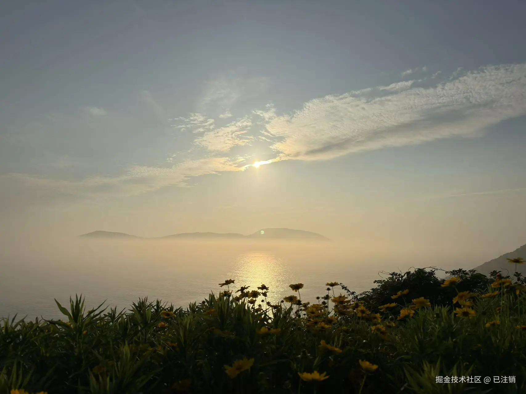 已注销于2025-05-26 08:22发布的图片