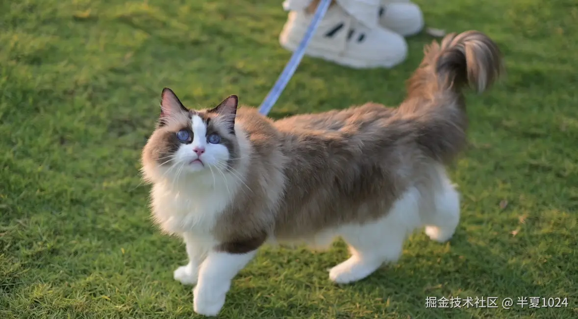 半夏1024于2024-10-08 11:05发布的图片