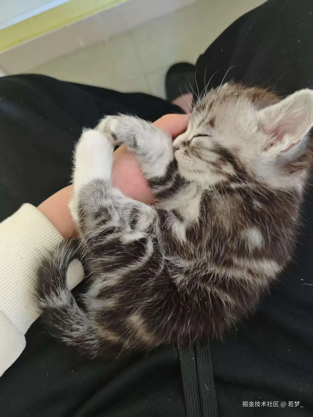 若梦_于2025-03-03 11:39发布的图片