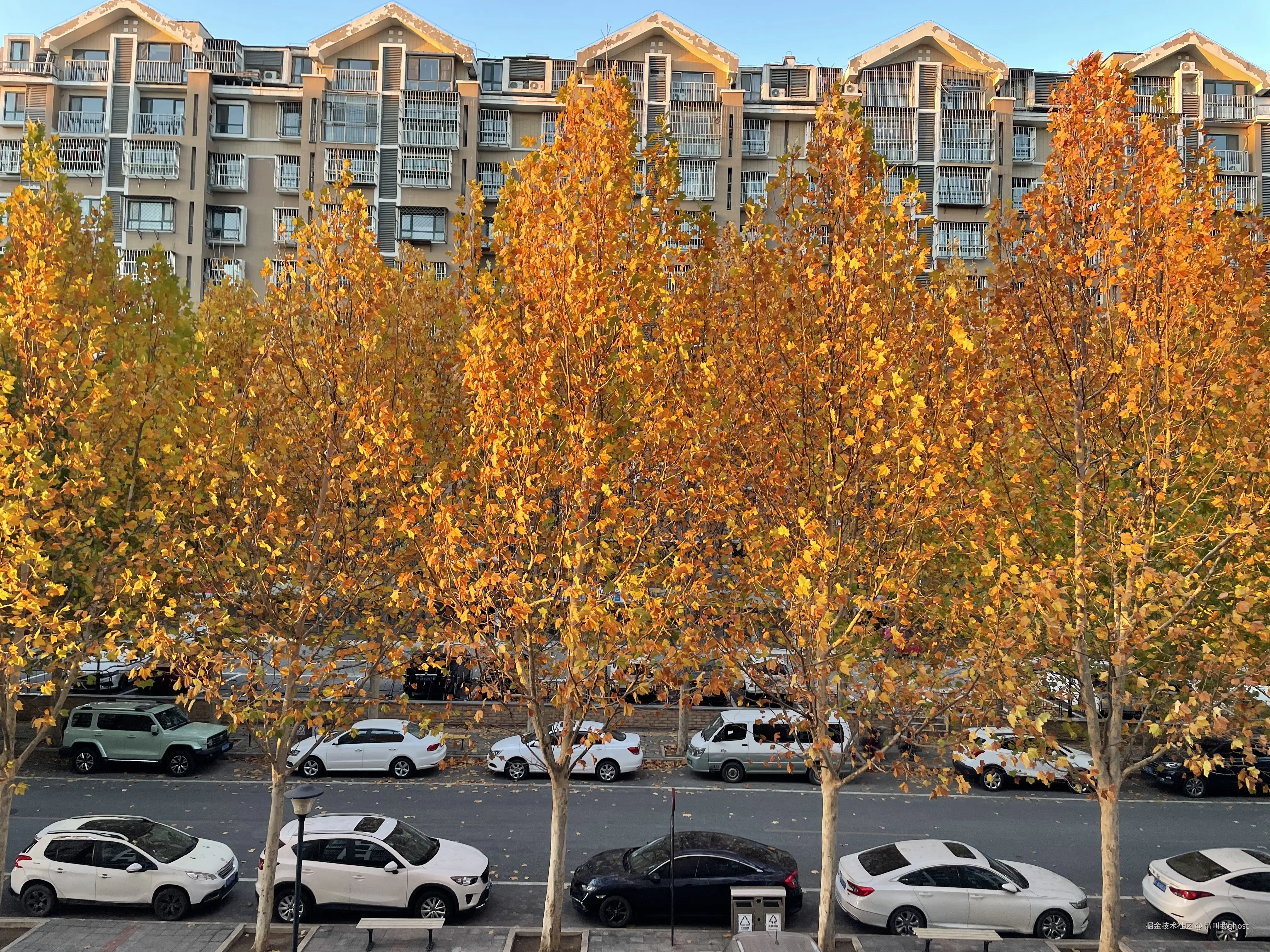 请叫我ghost于2025-11-10 13:14发布的图片