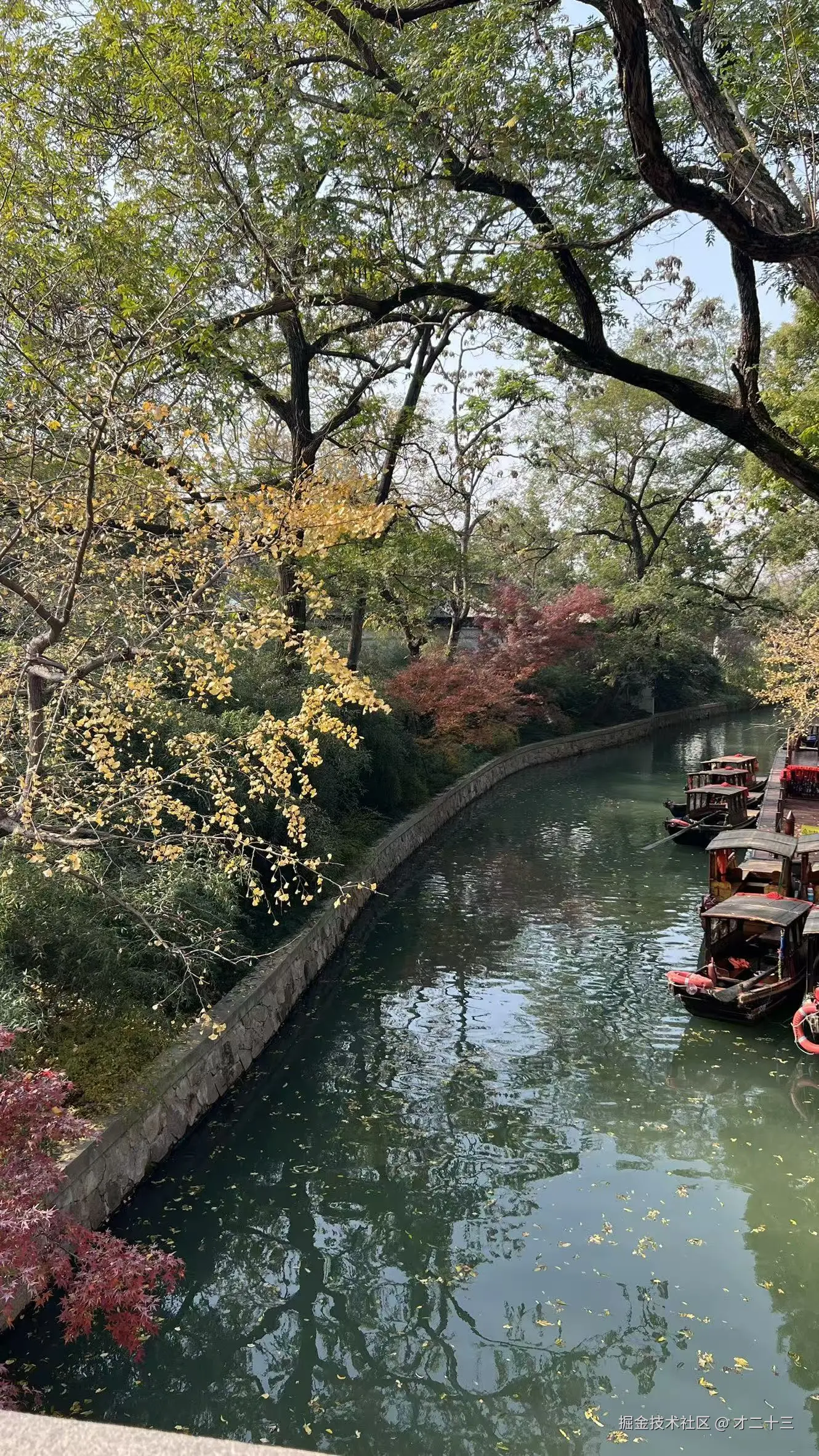 才二十三于2025-12-12 09:33发布的图片