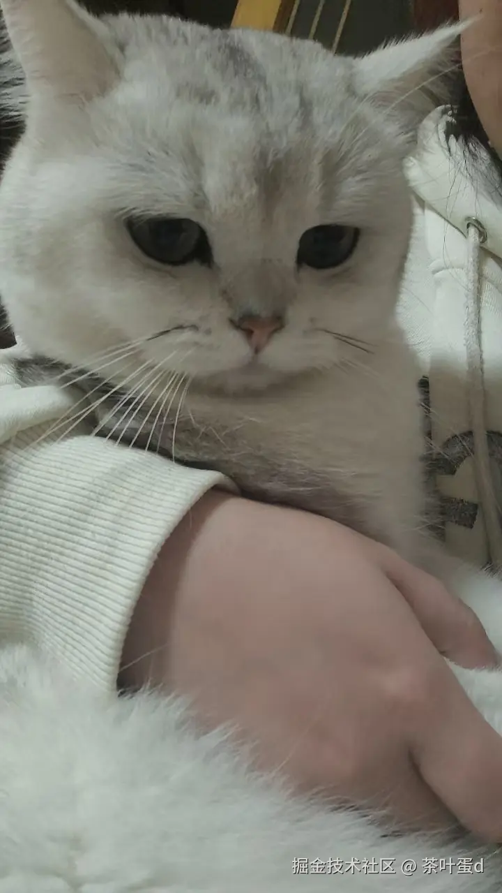 茶叶蛋d于2024-11-08 15:57发布的图片