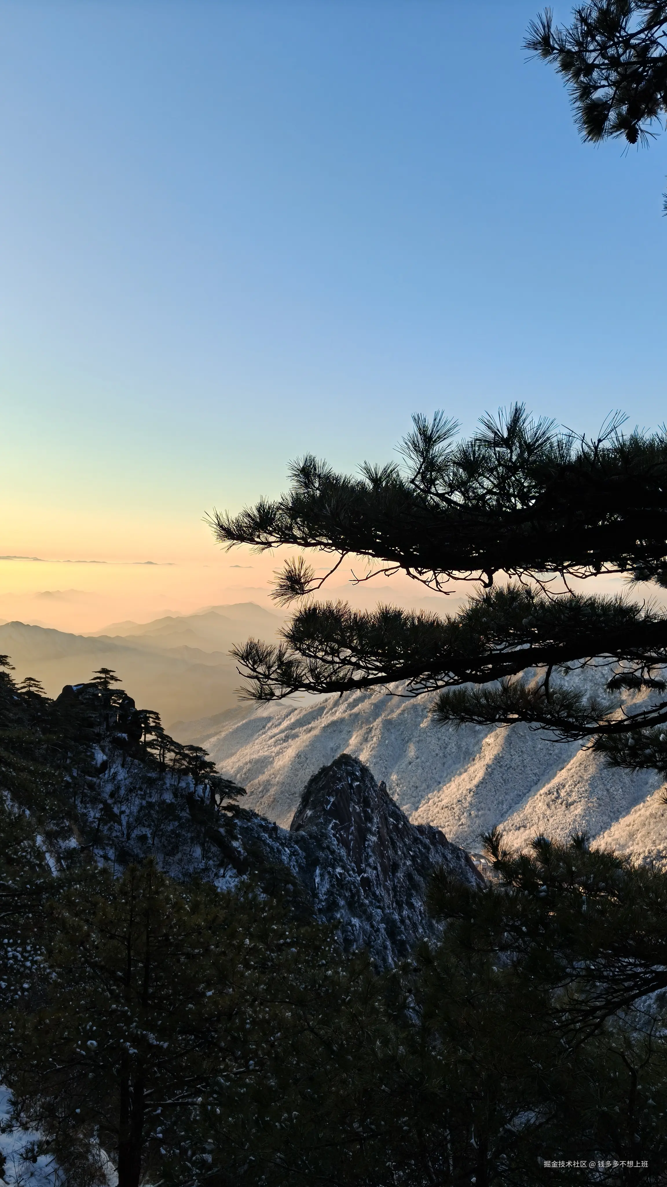 钱多多不想上班于2026-01-05 08:00发布的图片