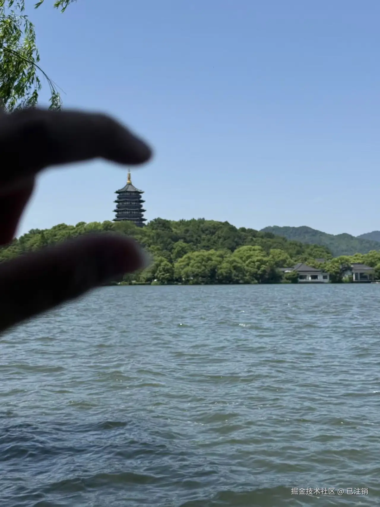 已注销于2025-05-12 09:55发布的图片