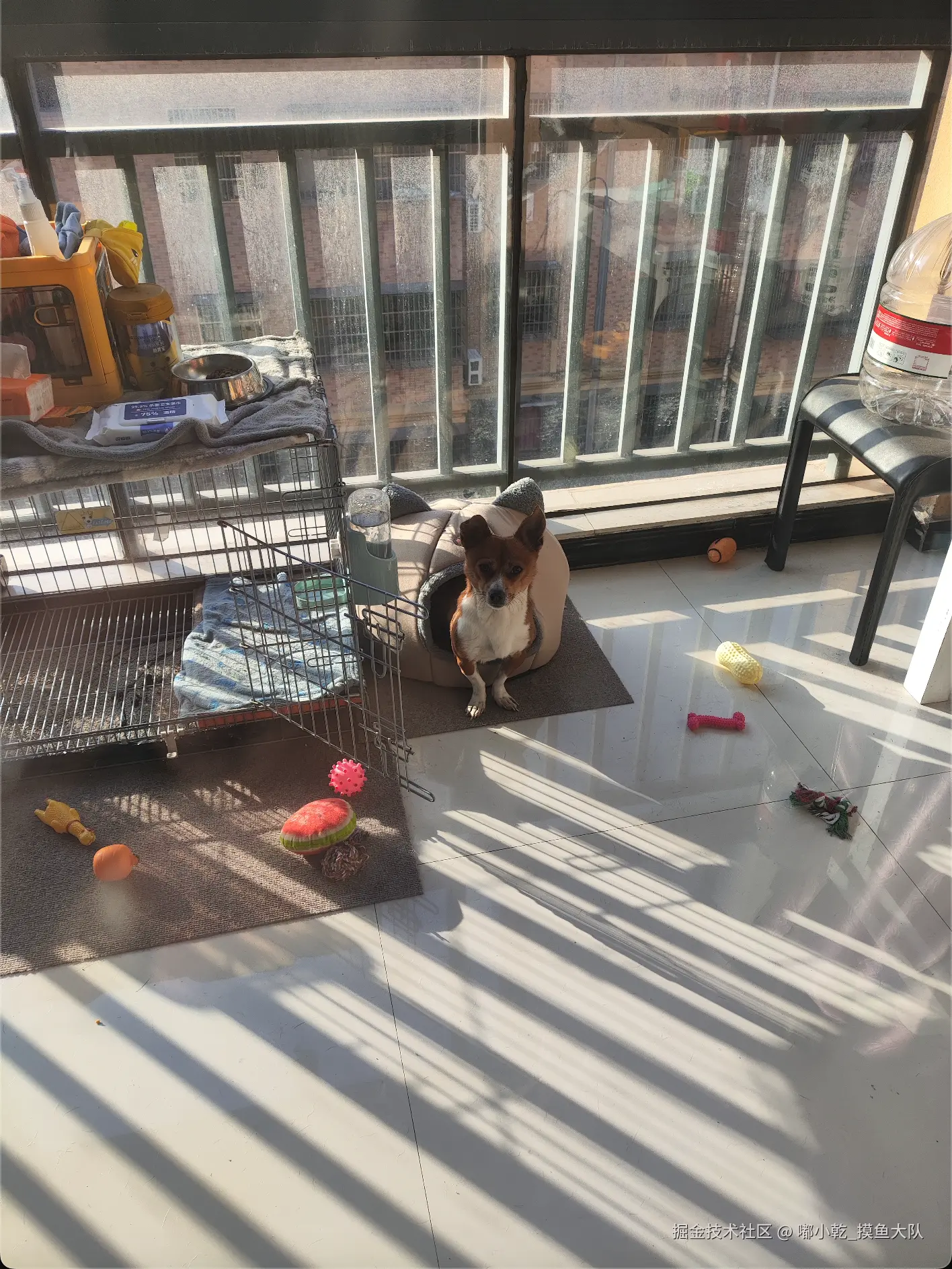 嘟小乾_摸鱼大队于2024-12-16 09:09发布的图片