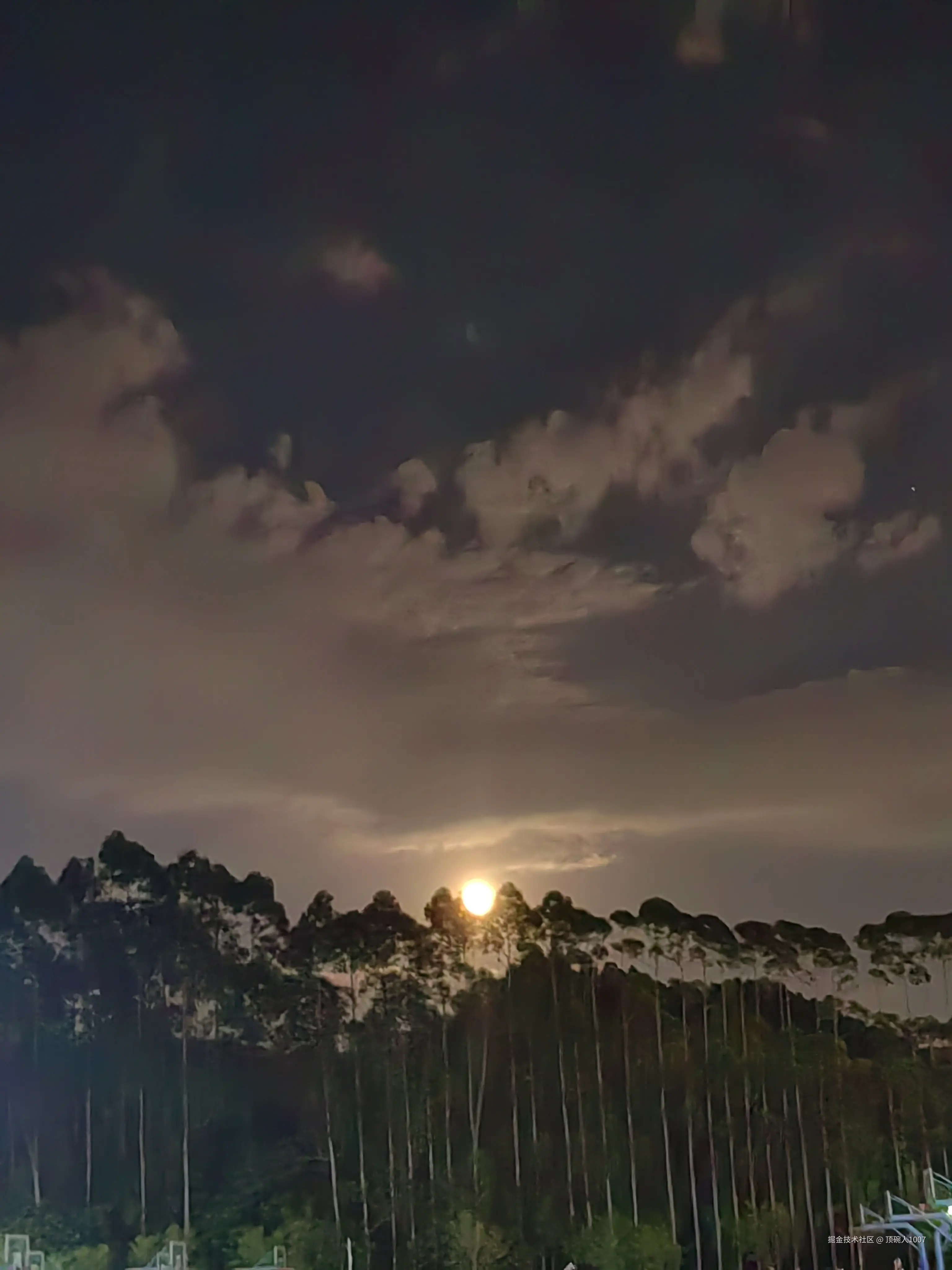 顶碗人1007于2024-09-19 13:57发布的图片