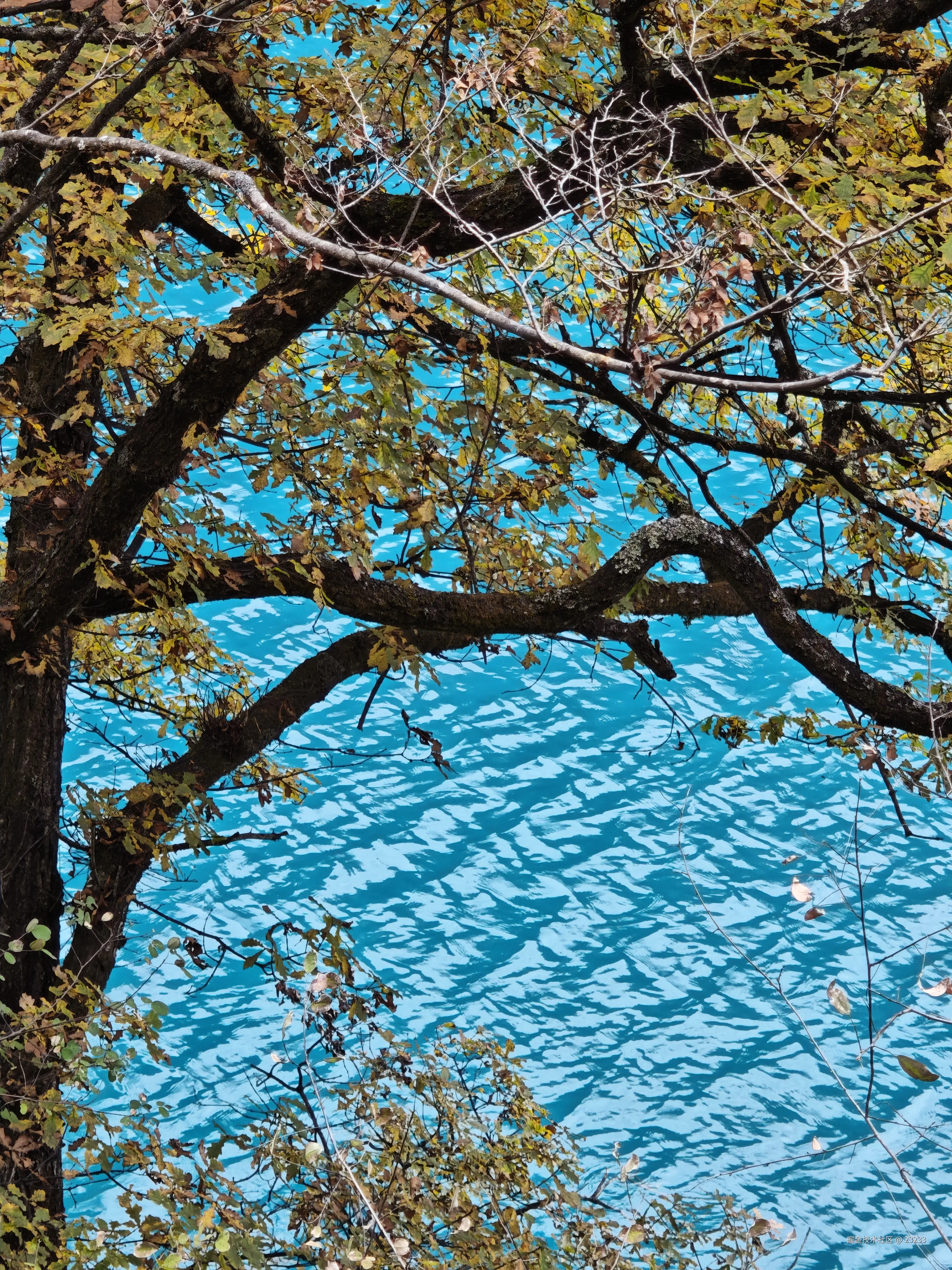 23233于2025-11-06 15:52发布的图片