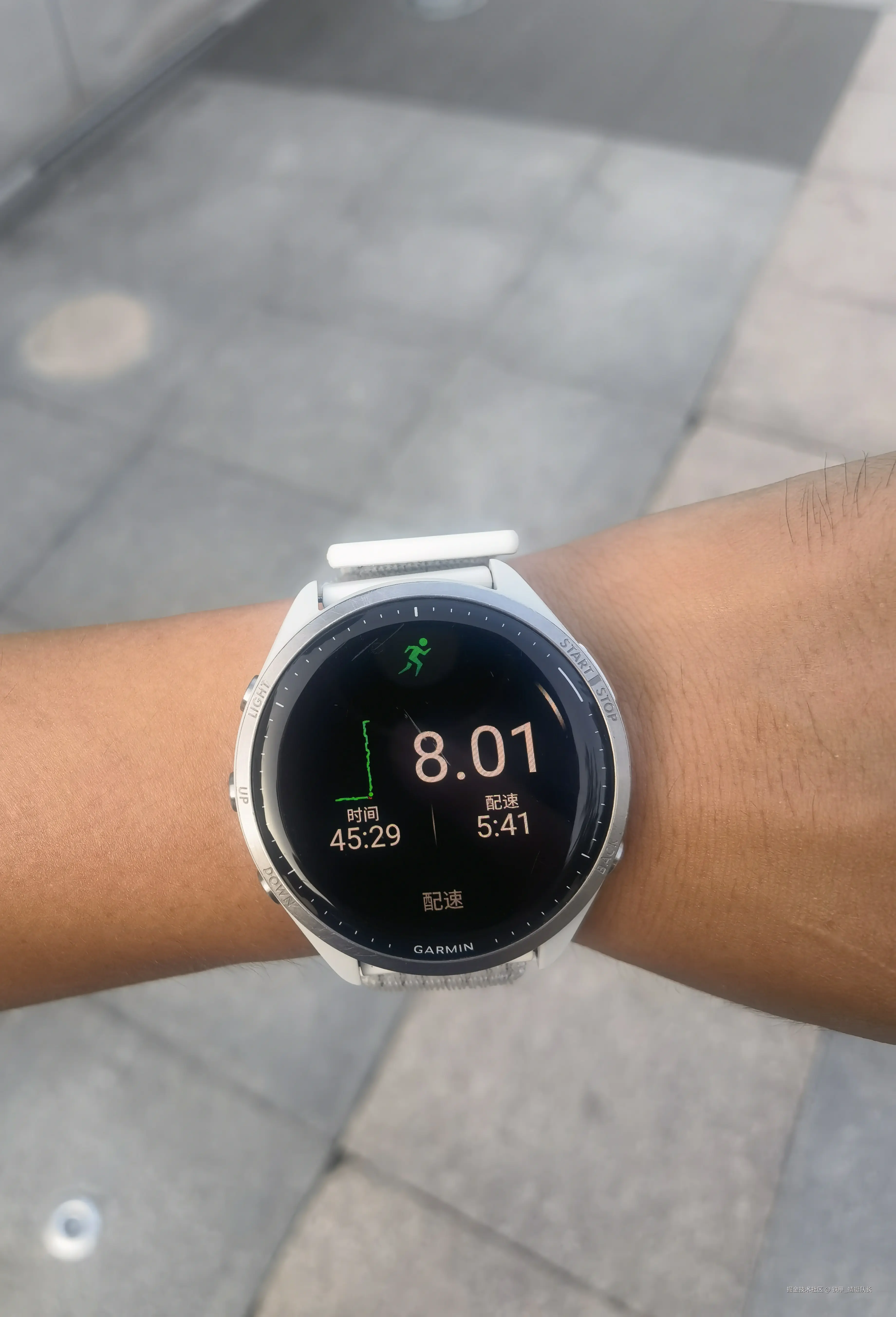 铁甲_蜻蜓队长于2024-10-13 07:50发布的图片