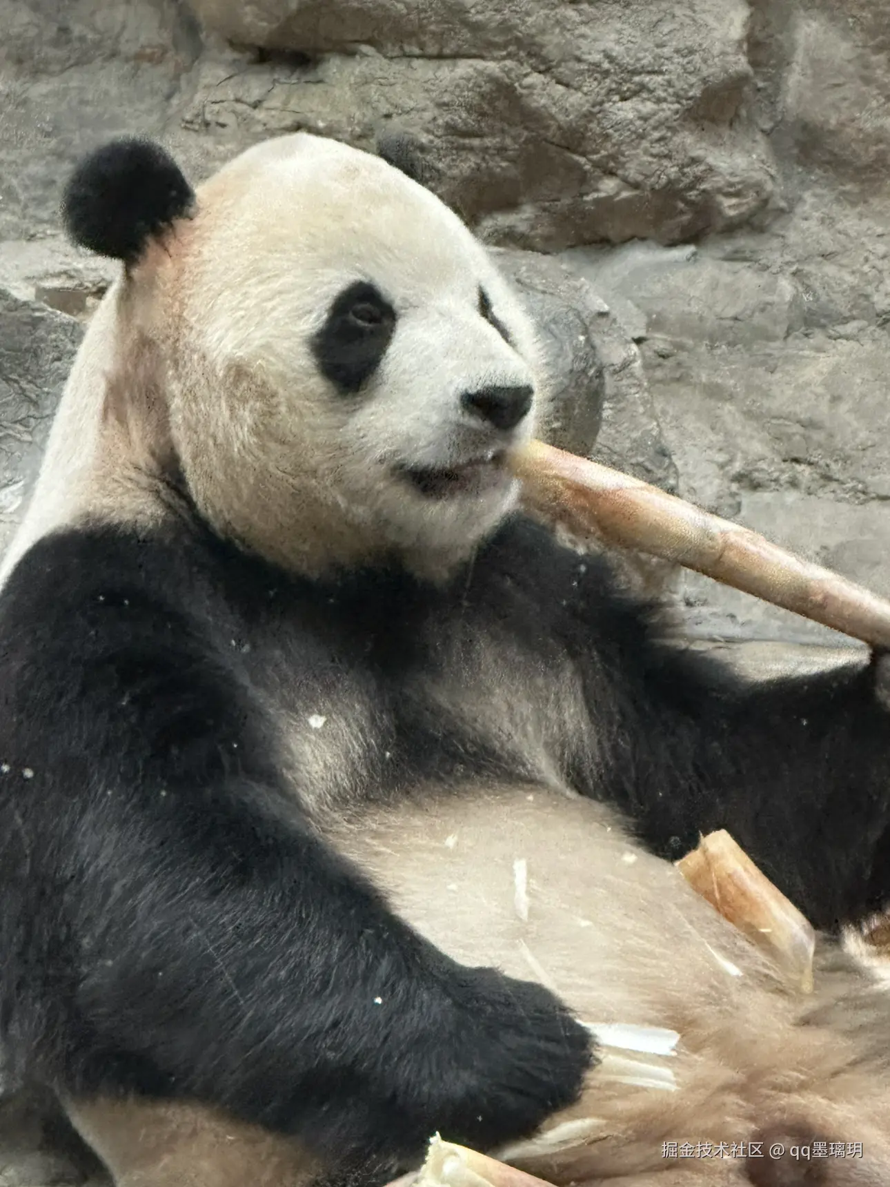 qq墨璃玥于2024-10-25 15:19发布的图片