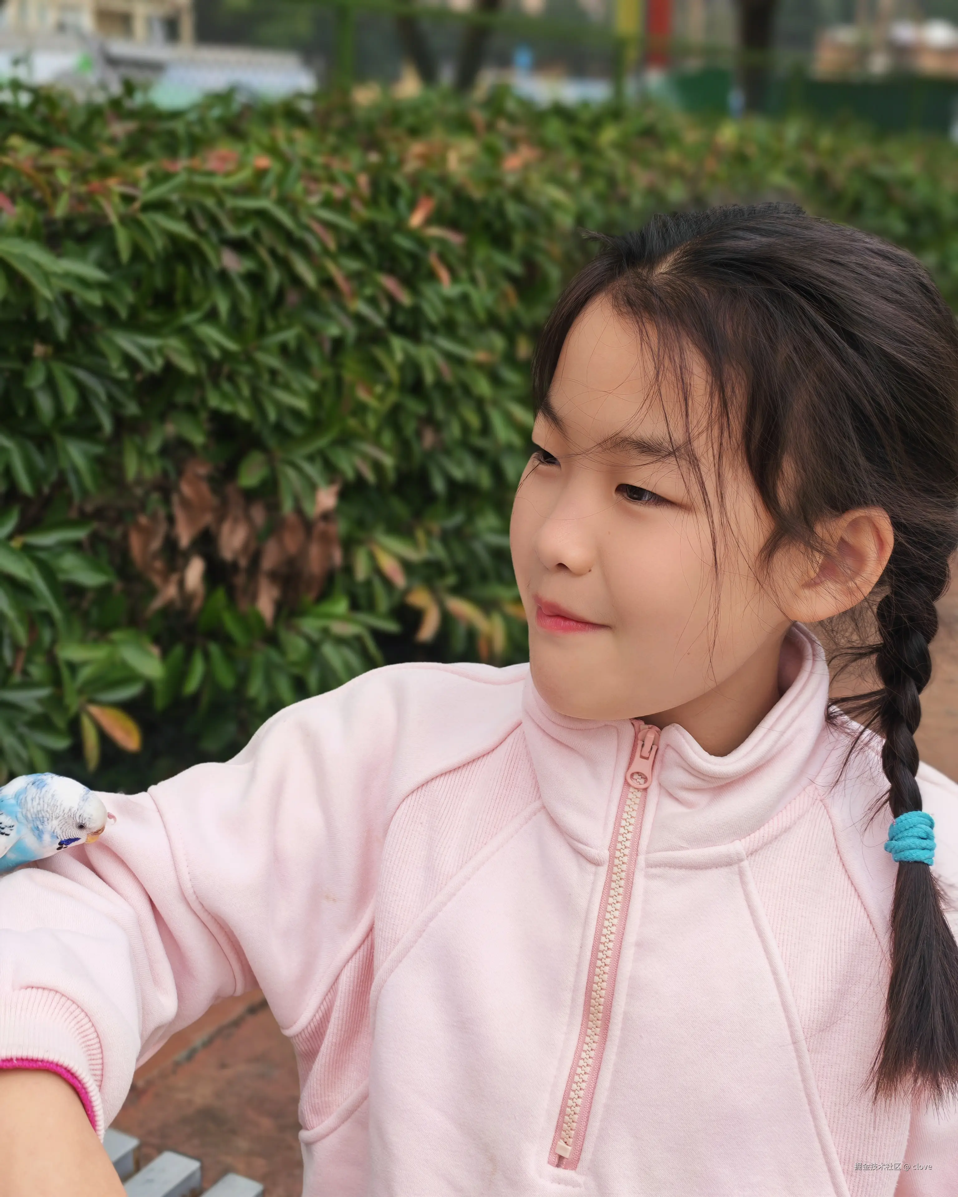 clove于2026-03-15 19:57发布的图片