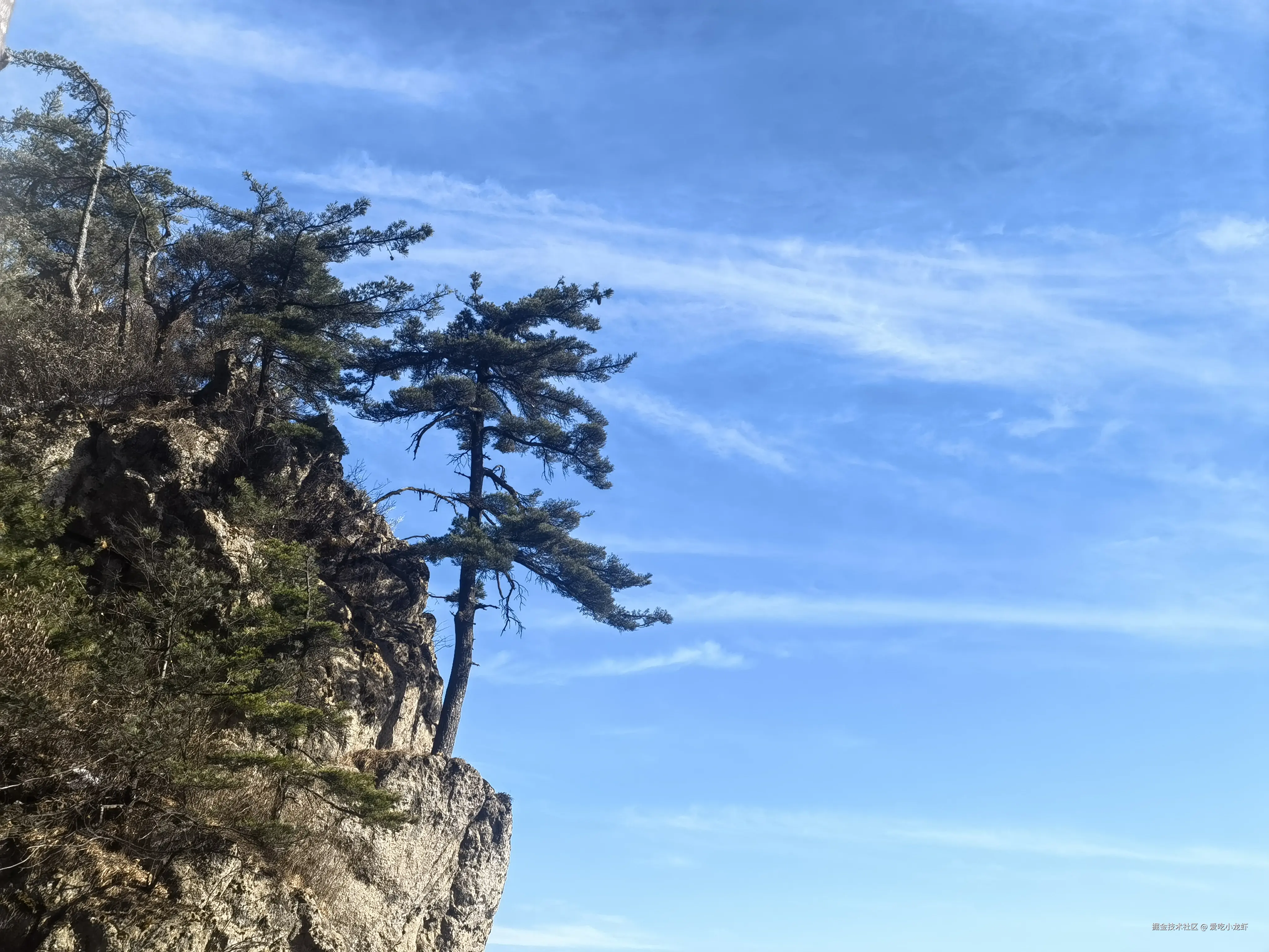 爱吃小龙虾于2025-01-21 11:58发布的图片