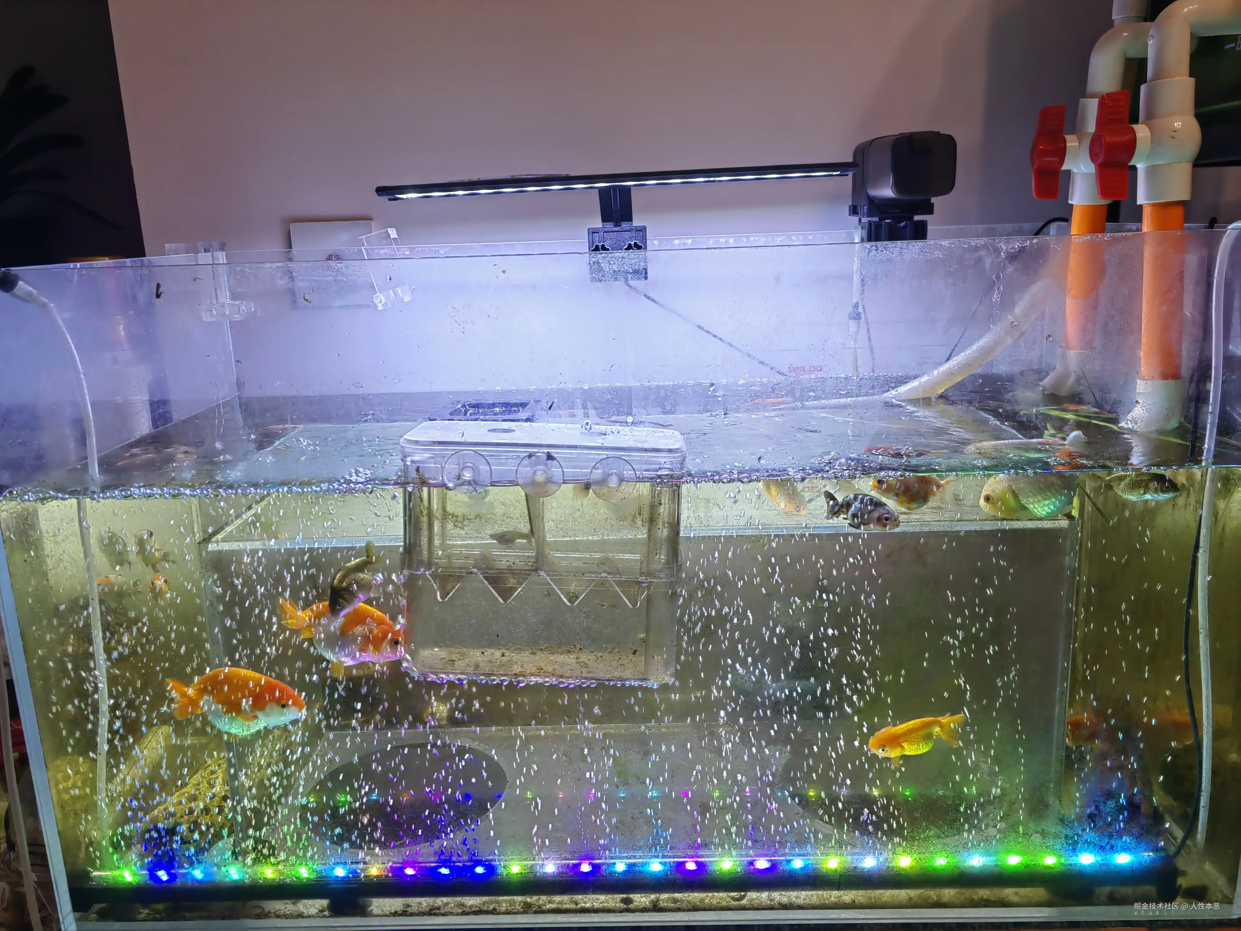 人性本恶于2025-07-04 10:46发布的图片