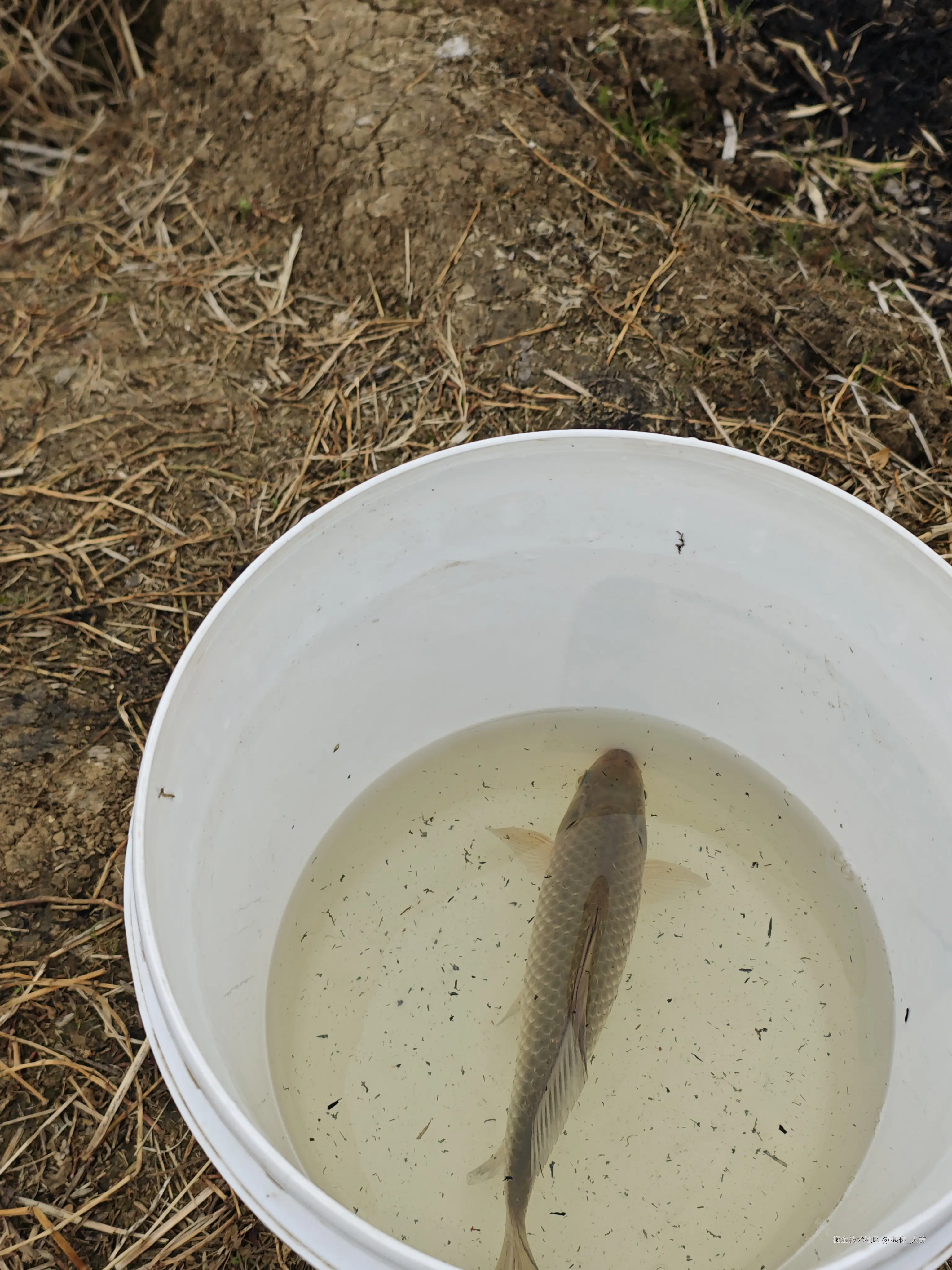 基你_太美于2026-02-04 13:02发布的图片