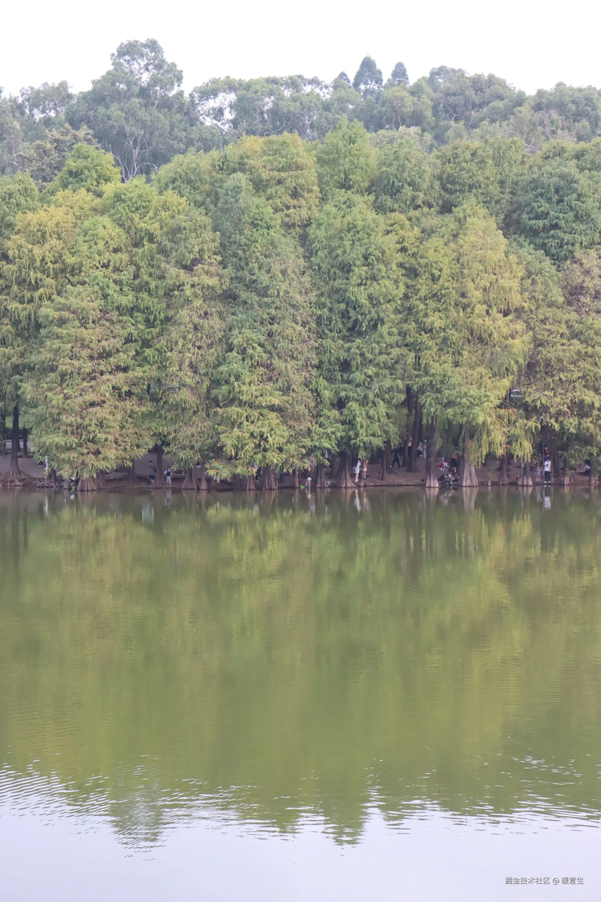 暖意生于2024-11-20 09:32发布的图片