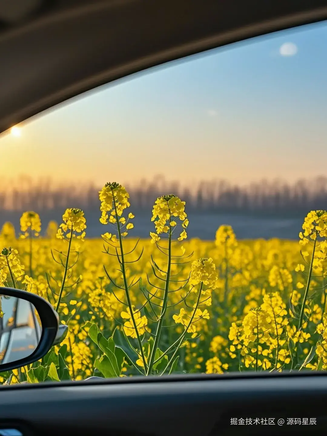 源码星辰于2025-09-29 10:09发布的图片