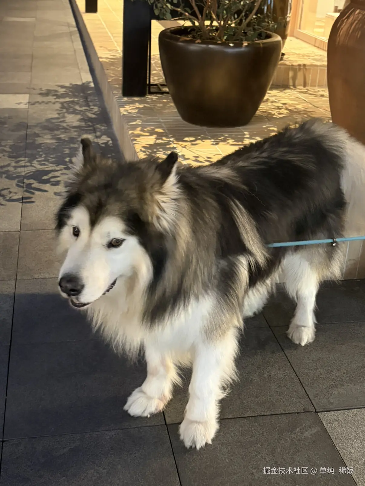 单纯_稀饭于2026-03-05 10:51发布的图片