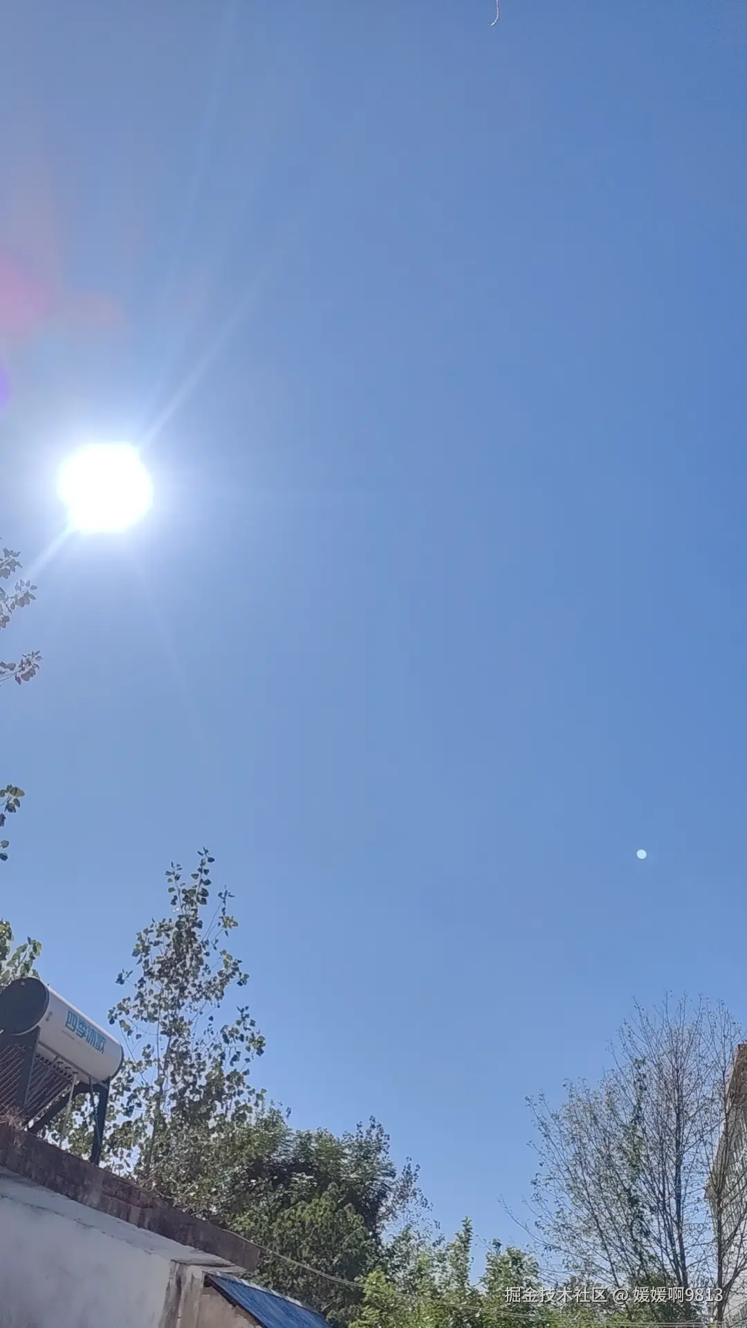 媛媛啊9813于2024-12-15 22:46发布的图片